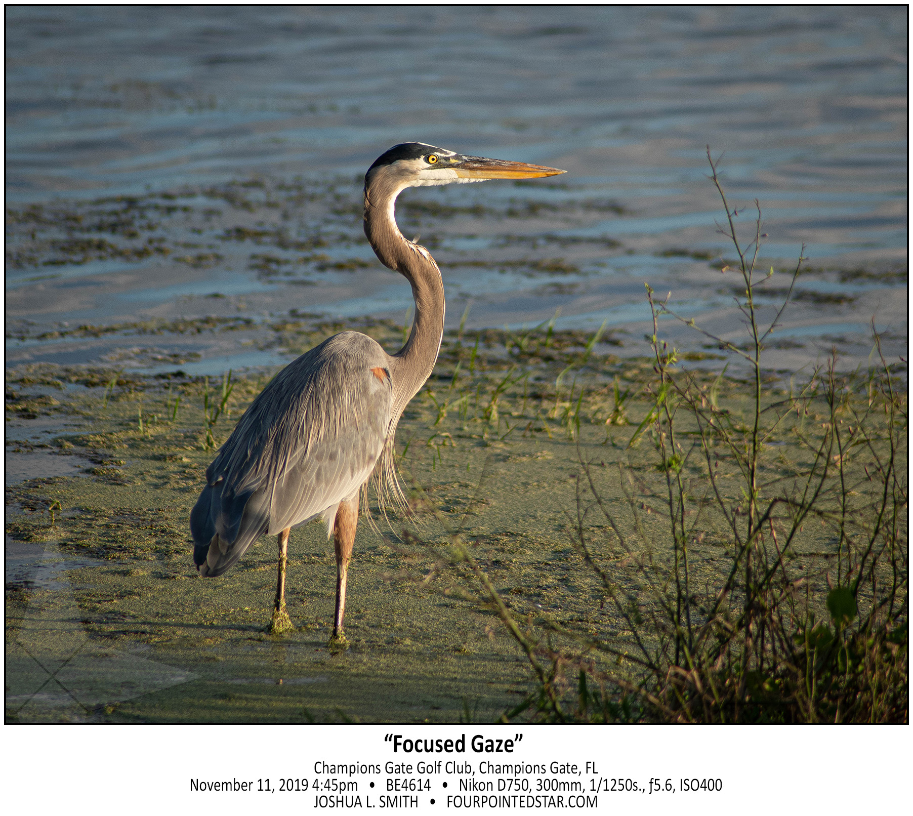 BE4614 191111 164513