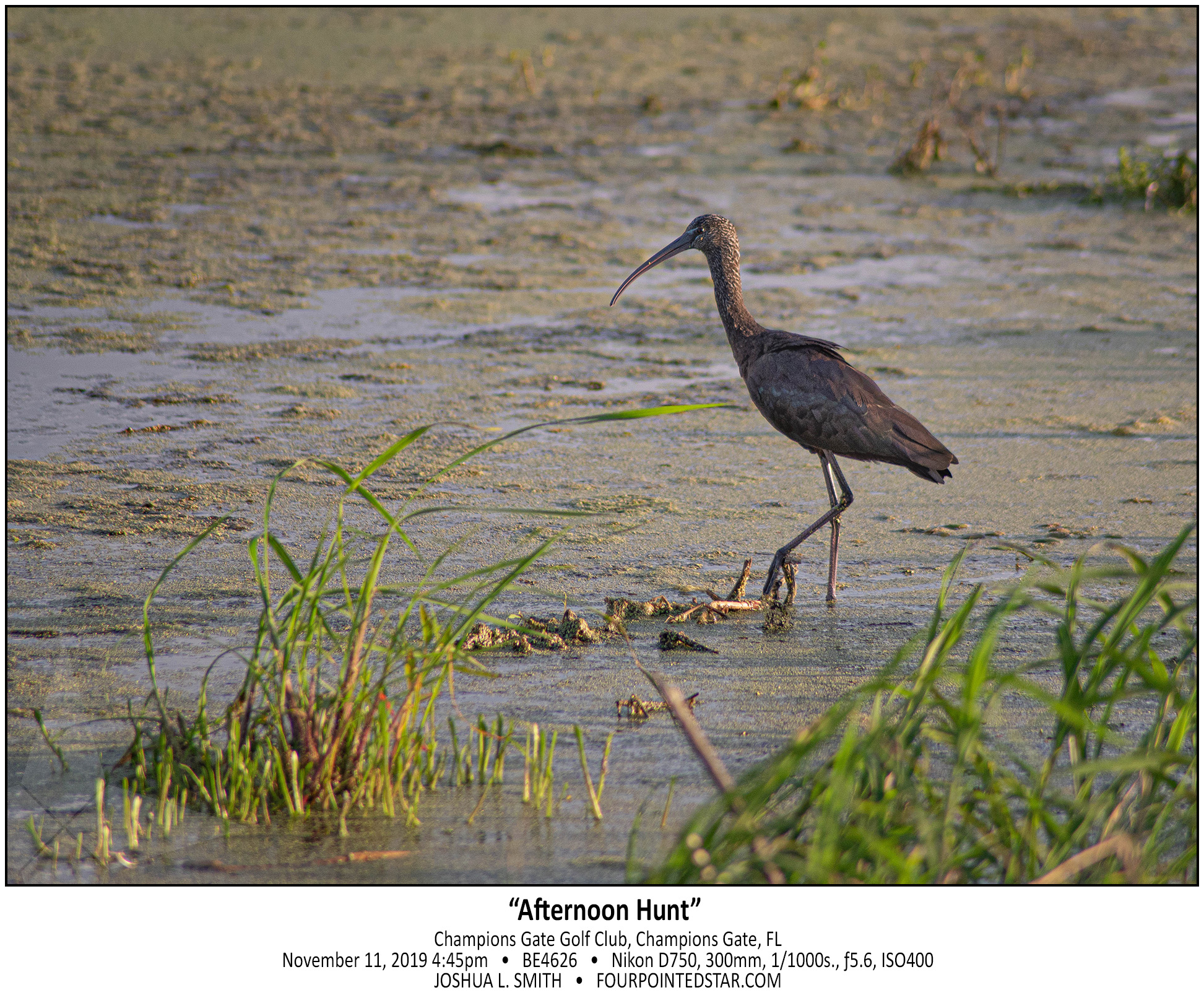 BE4626 191111 164525