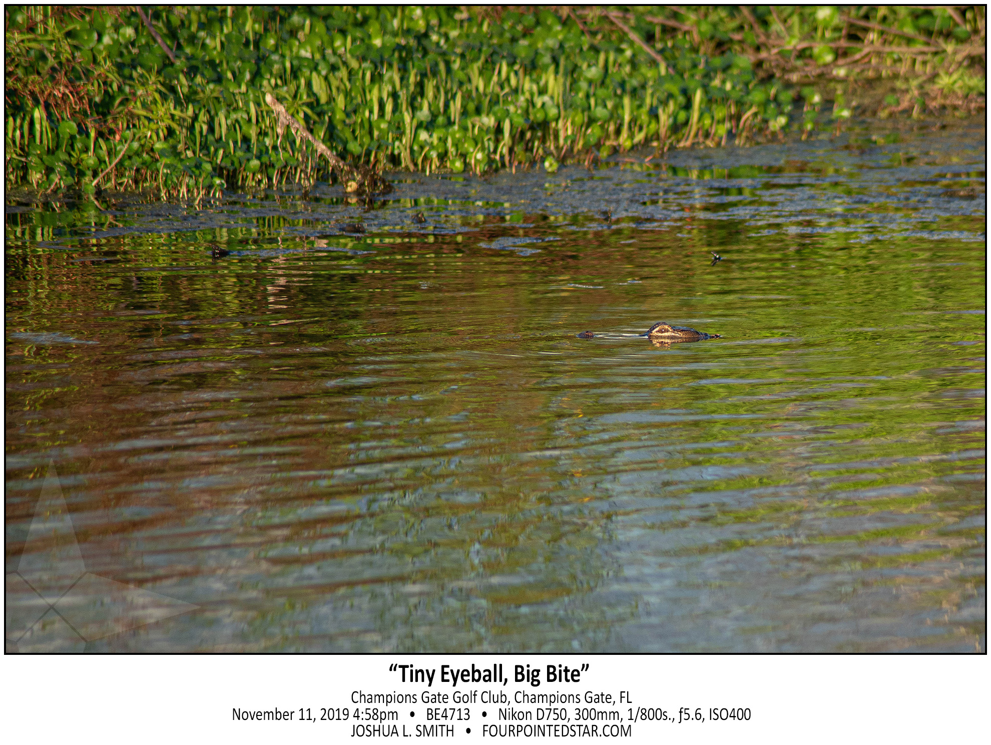 BE4713 191111 165830