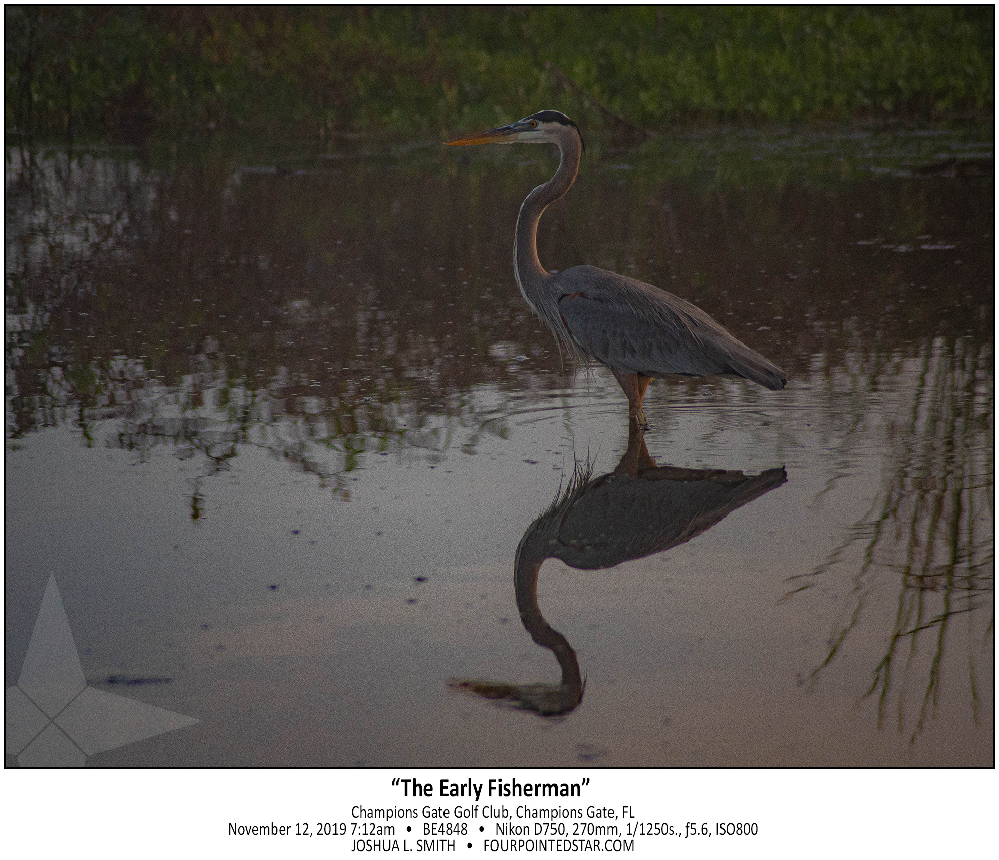 BE4848 191112 071113