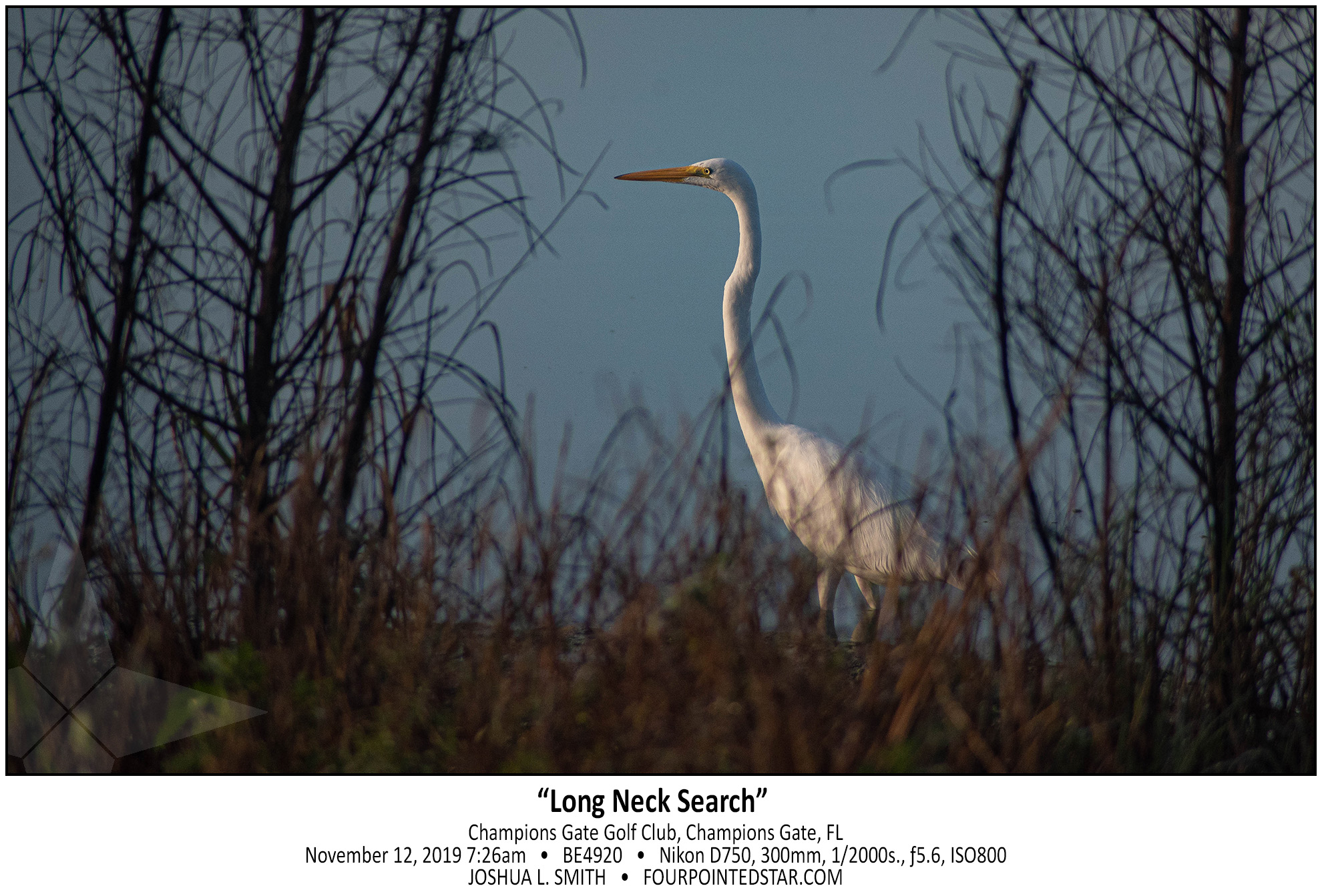 BE4920 191112 072604