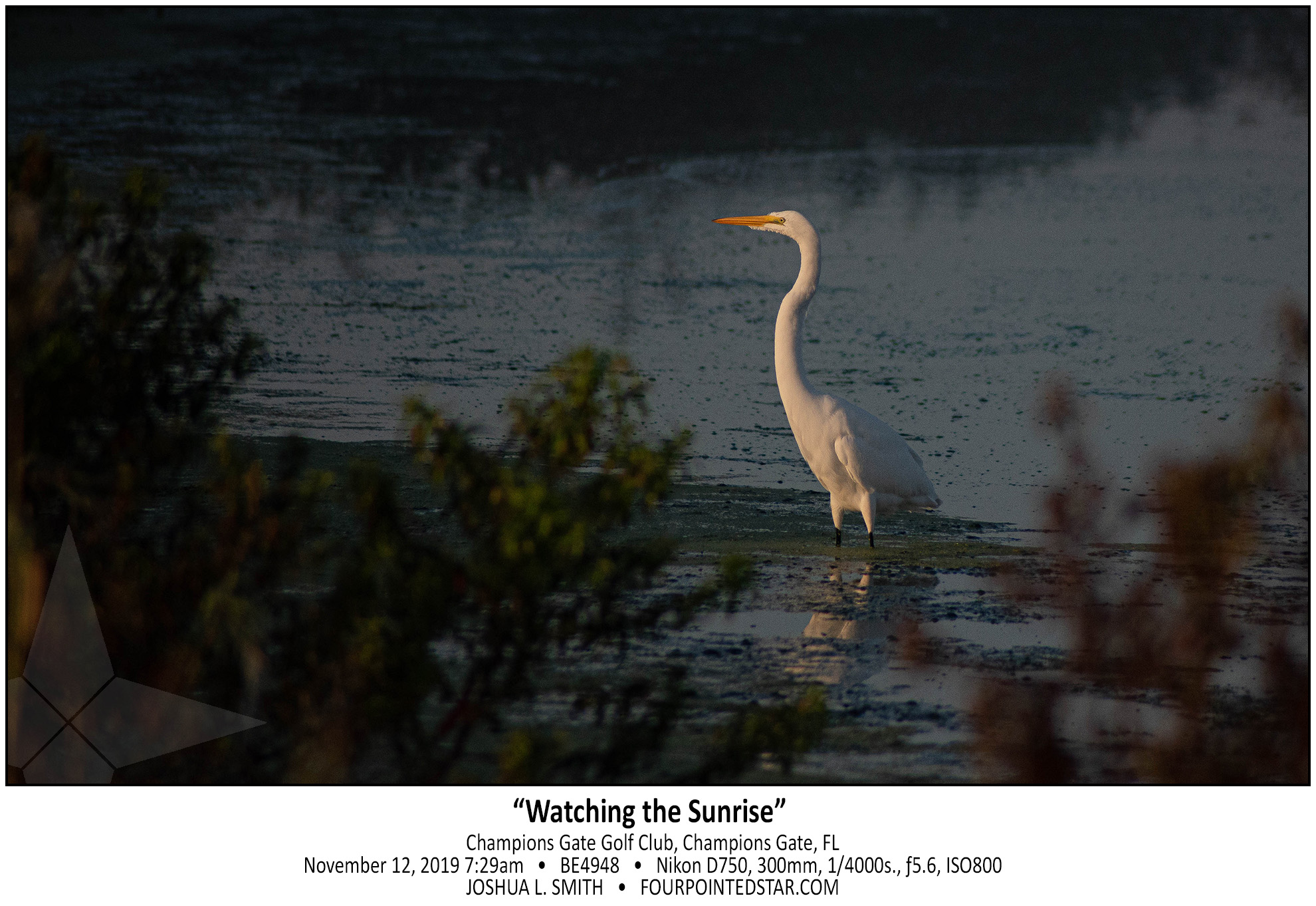 BE4948 191112 072902