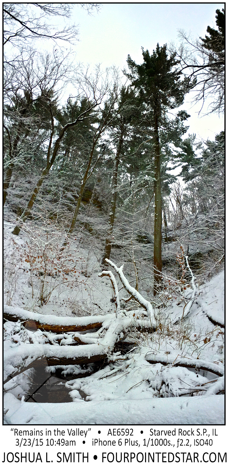 AE6592 150323 104942