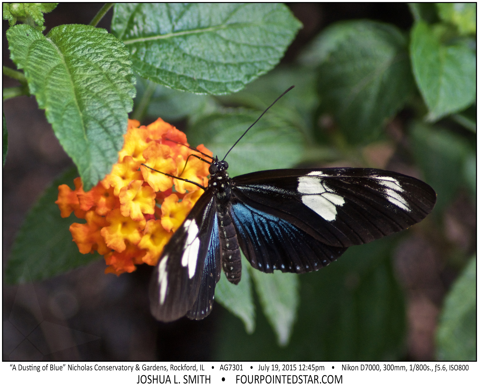 AG7301 150719 124513