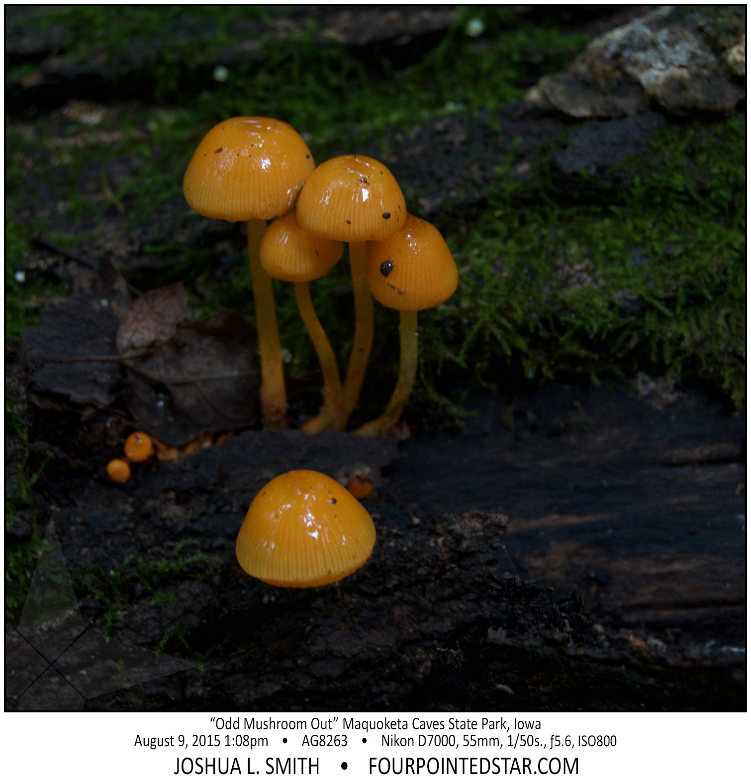 AG8263 150809 130835