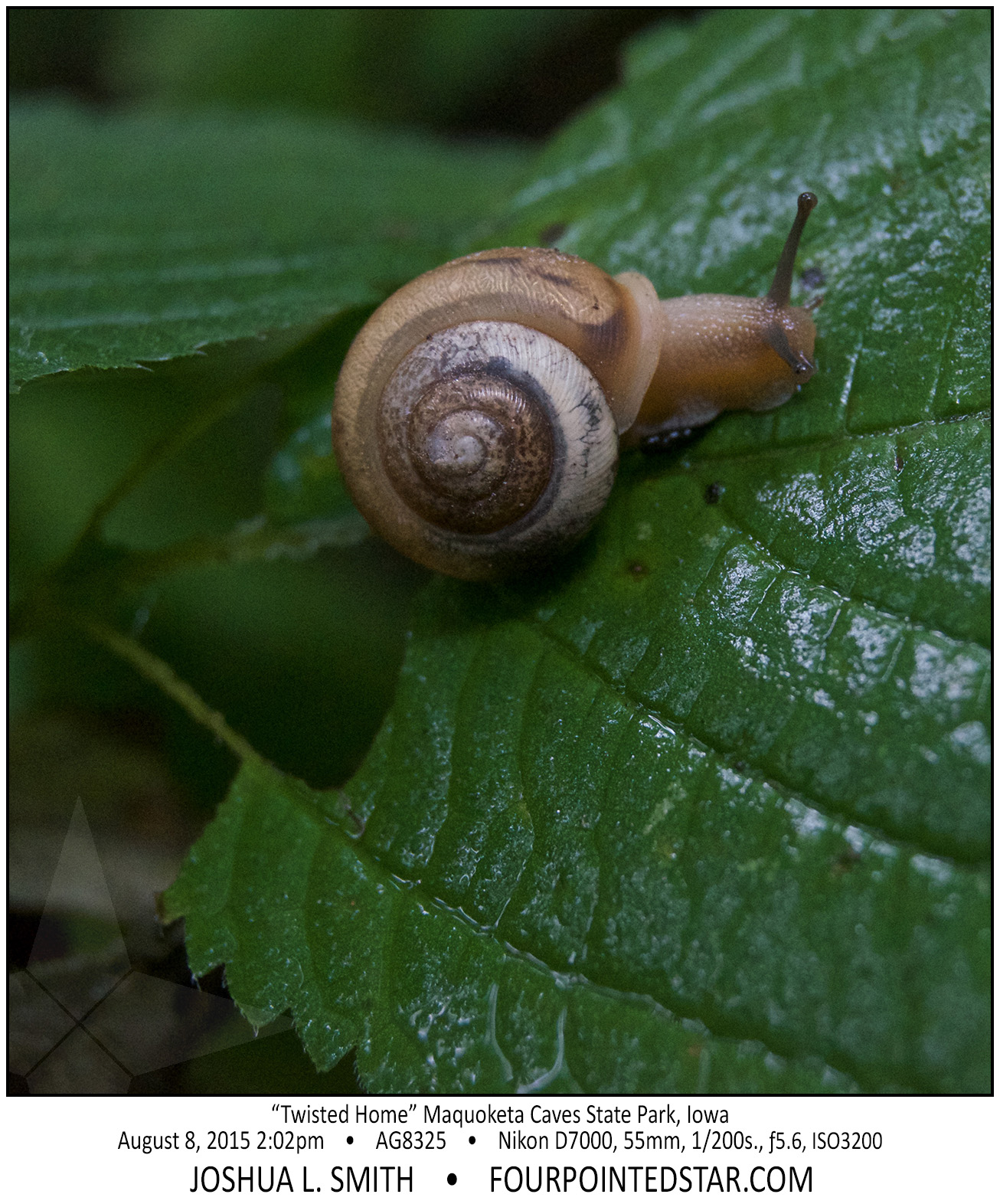 AG8325 150809 140236