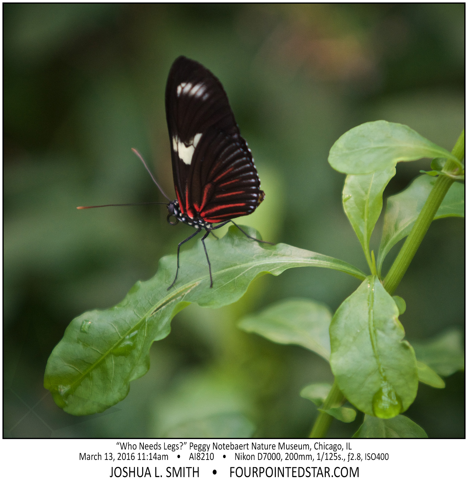 AI8210 160313 111431