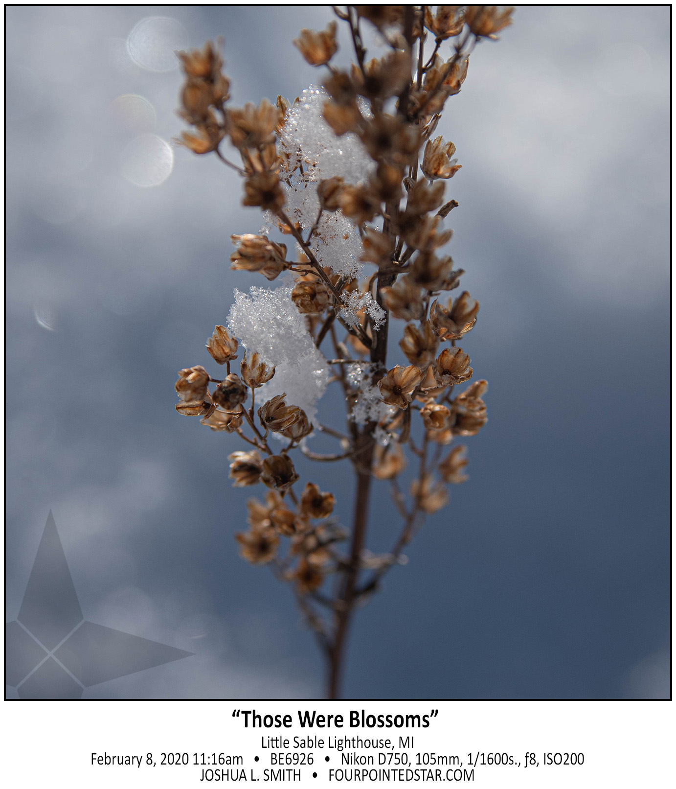 BE6926 200208 111625