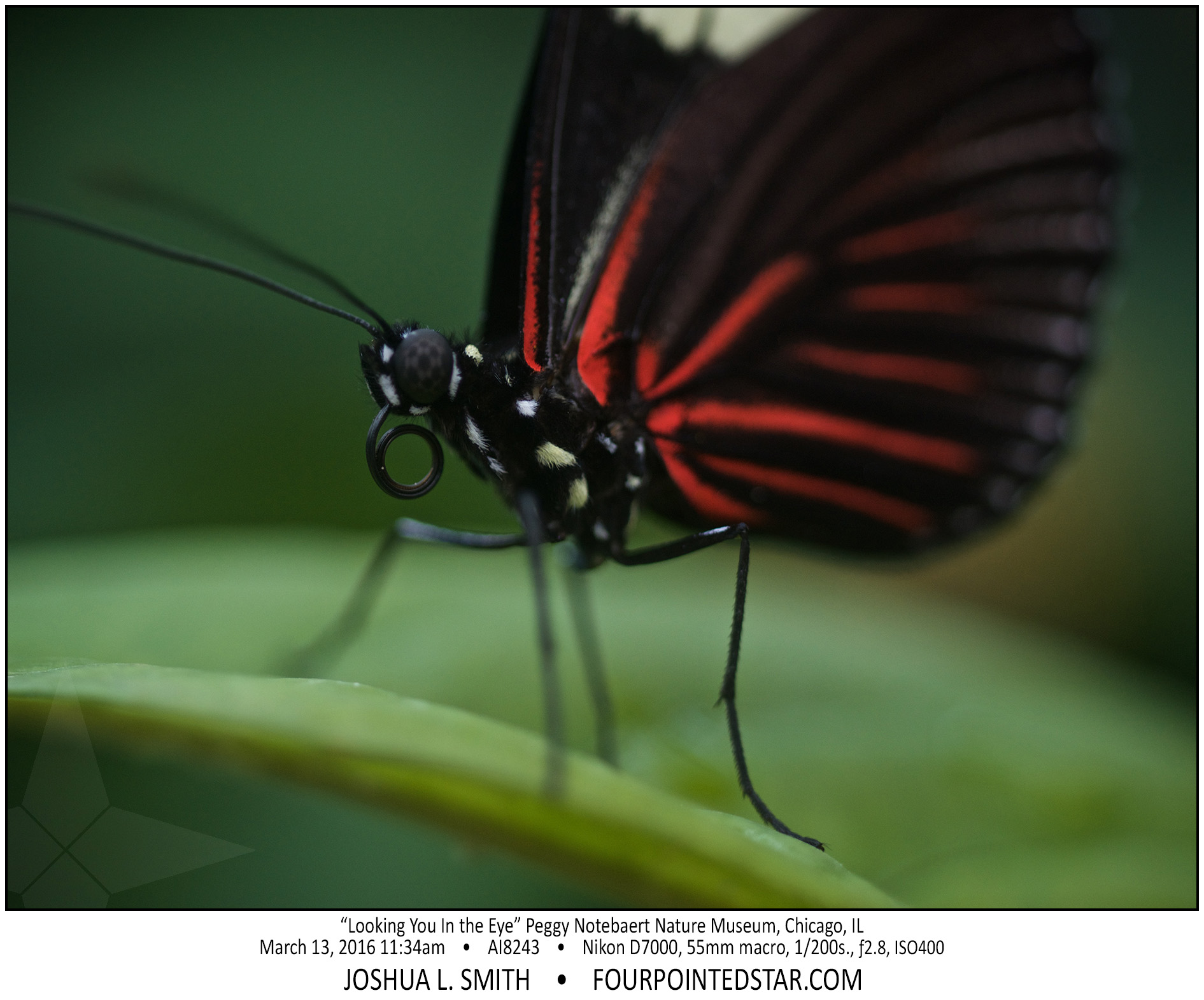 AI8302 160313 113414