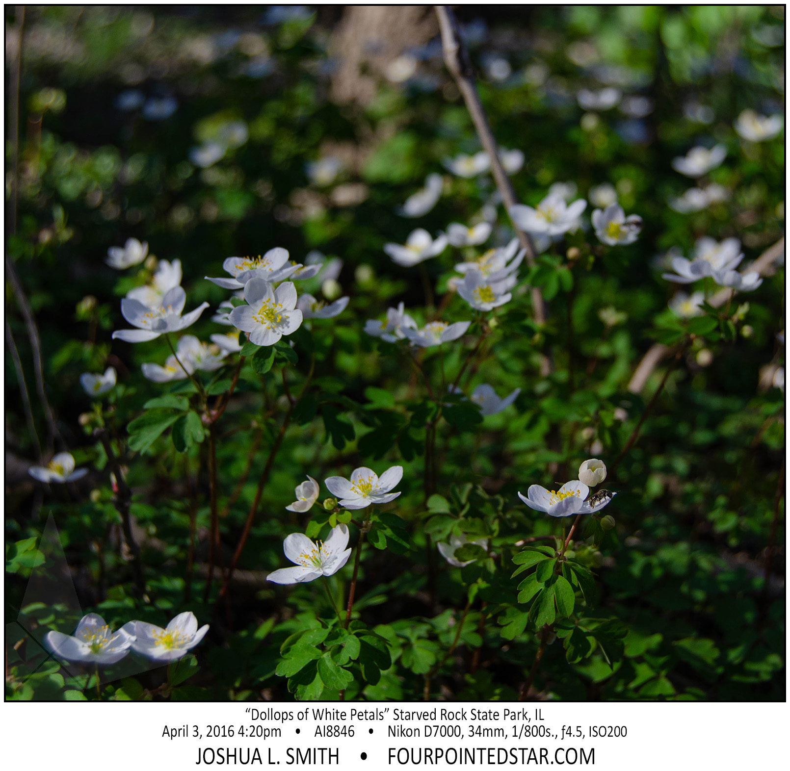 AI8846 160403 162059