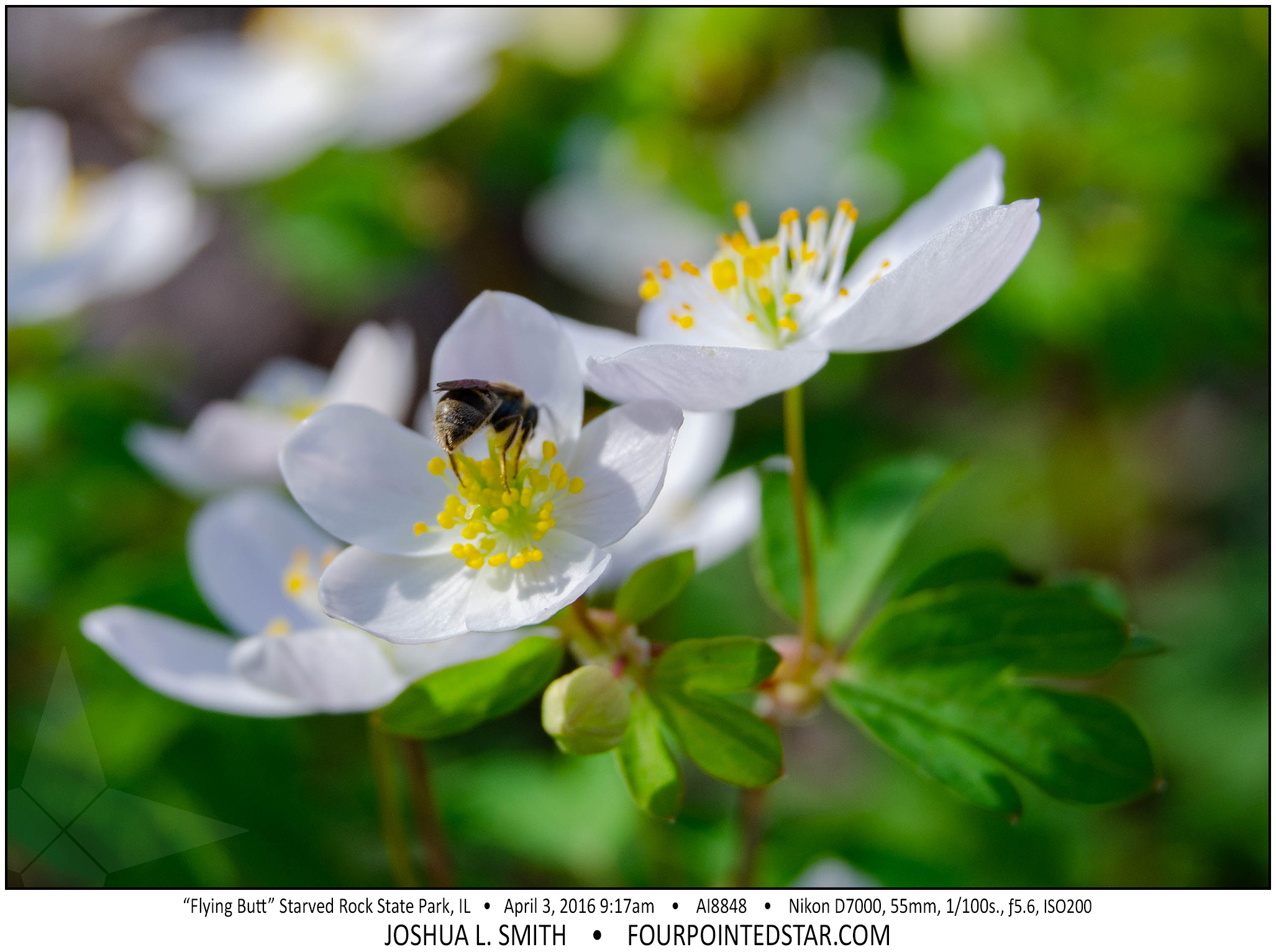 AI8848 160403 162115