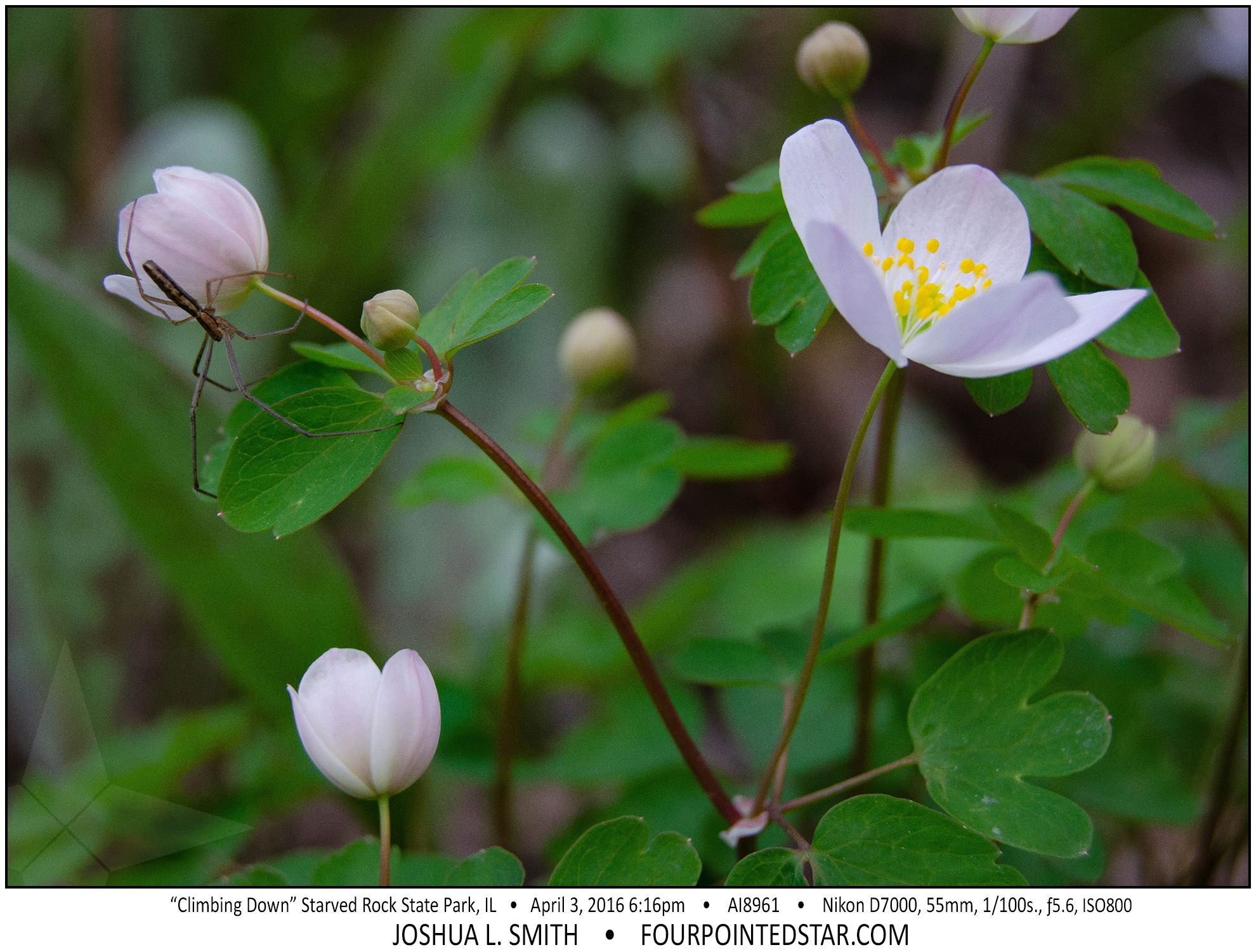 AI8961 160403 181633