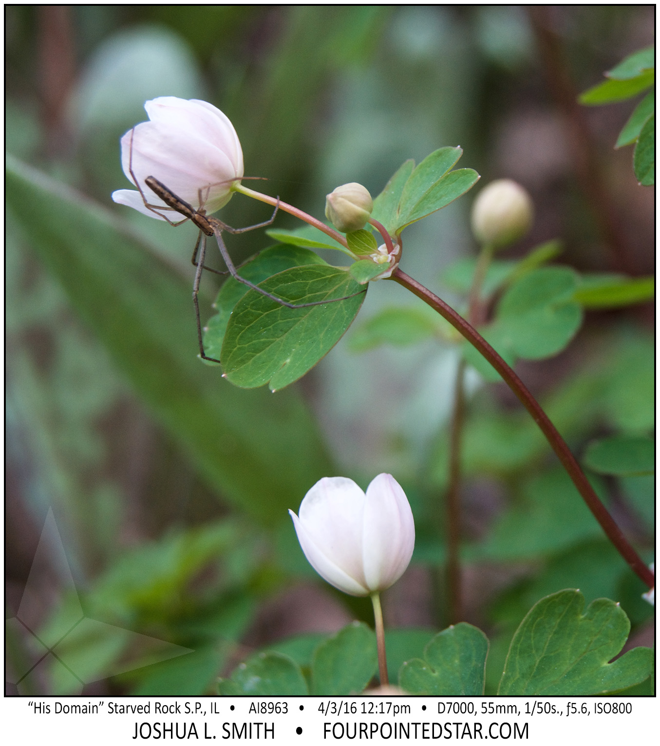 AI8963 160403 181654