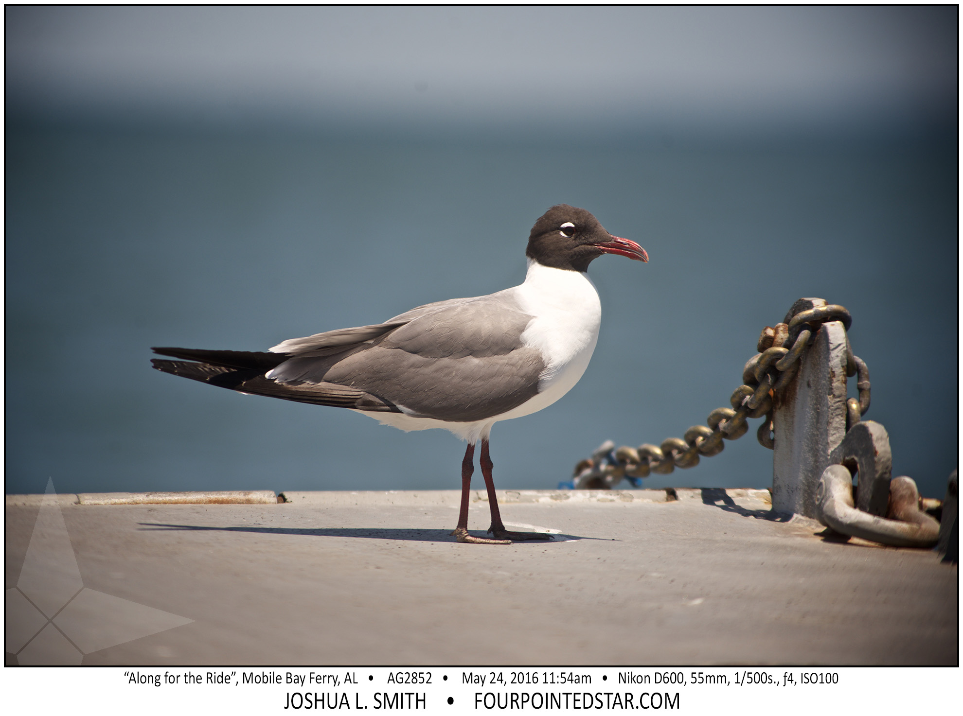 AG2852 160524 115411