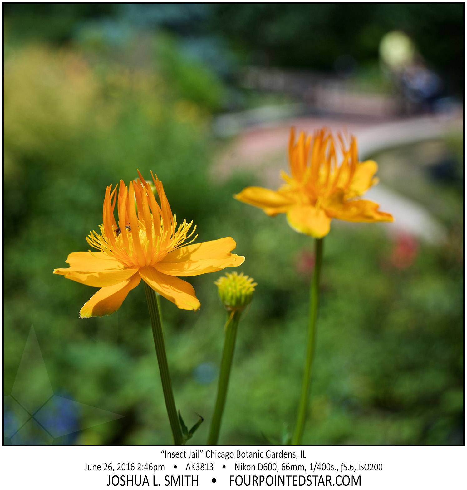 AK3813 160626 144636