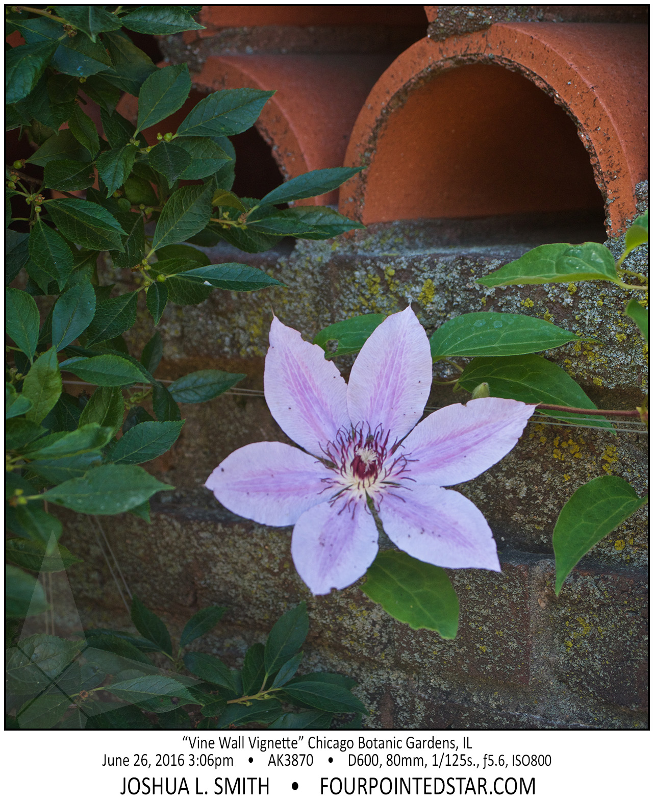 AK3870 160626 150640