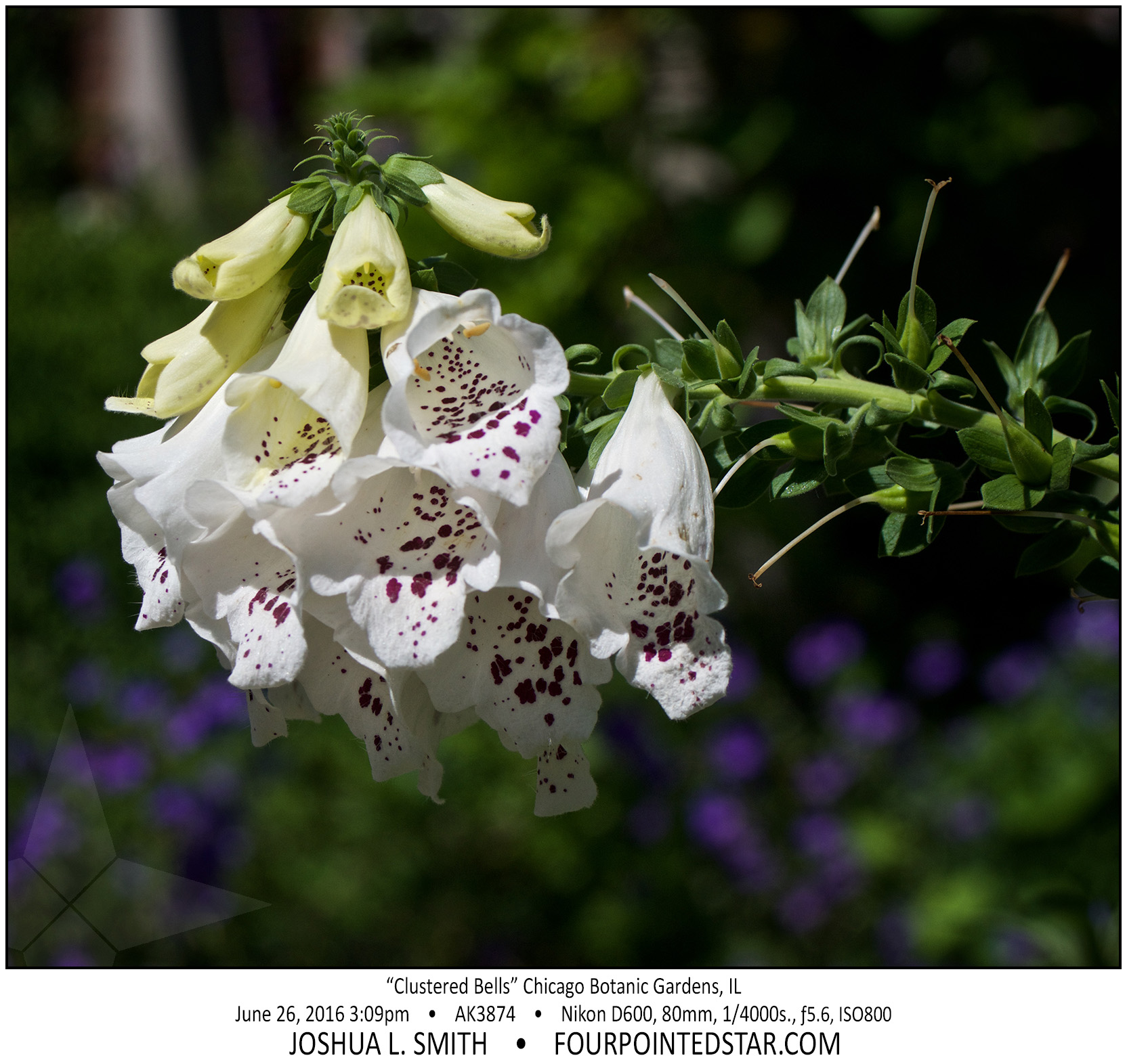 AK3874 160626 150947