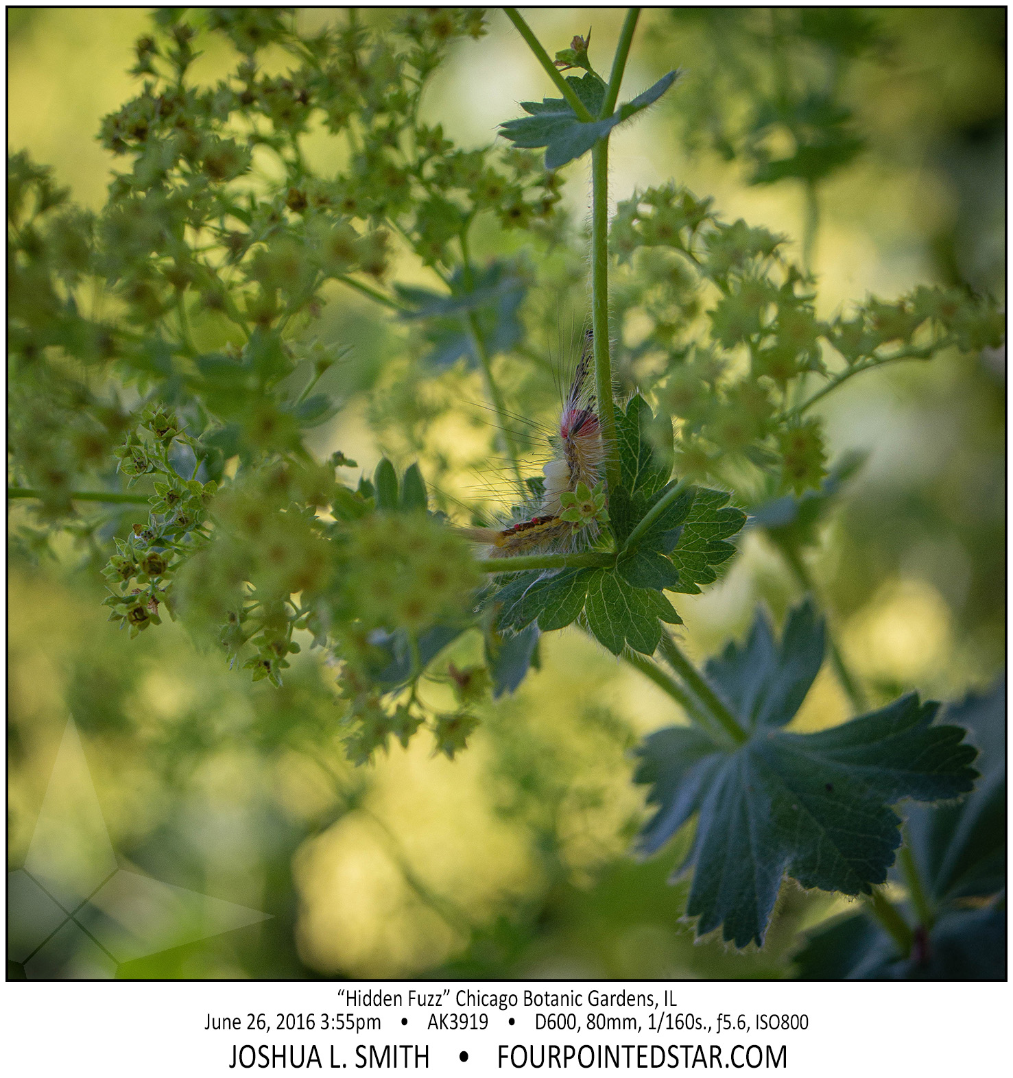 AK3919 160626 155540