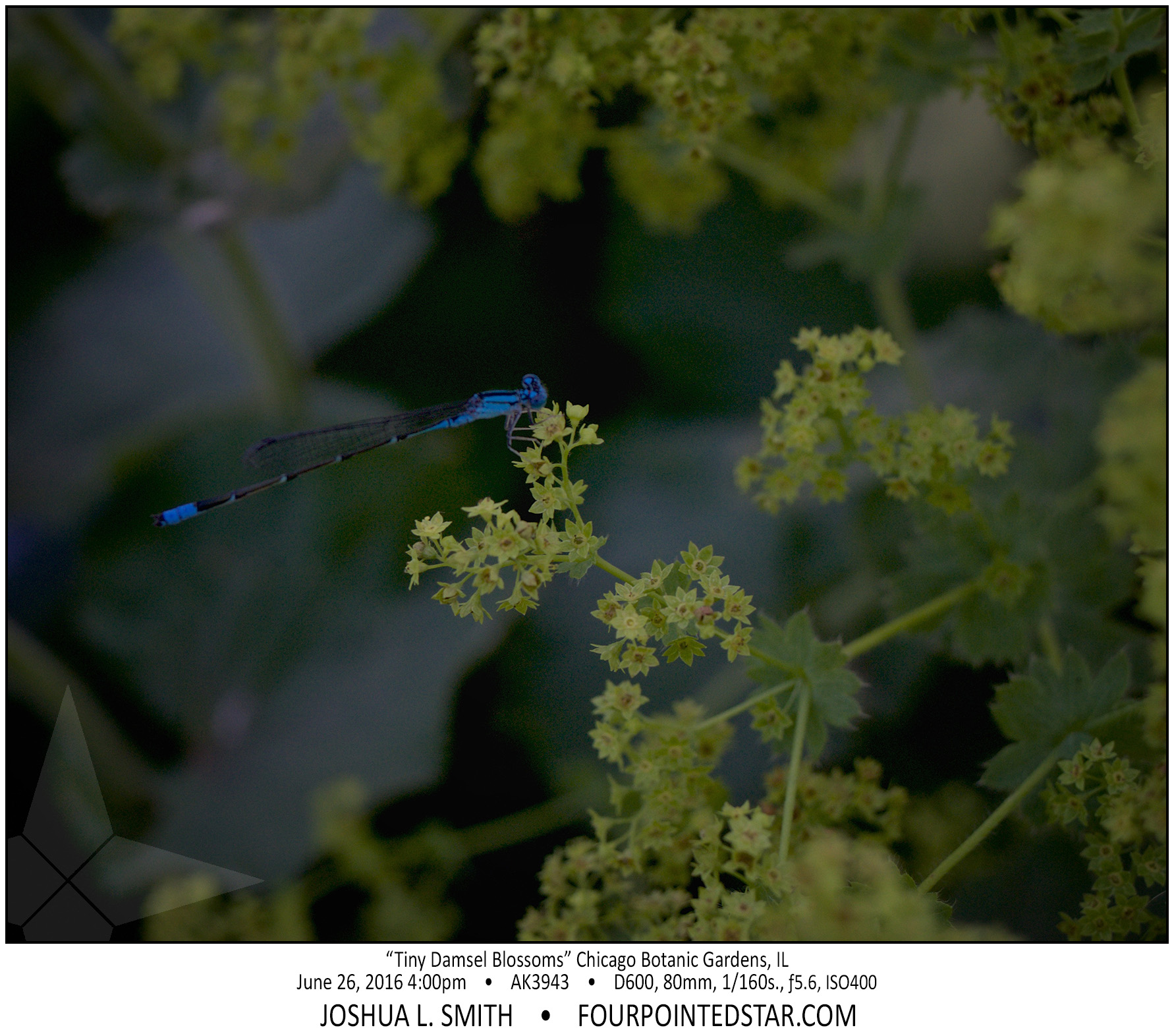 AK3943 160626 160046