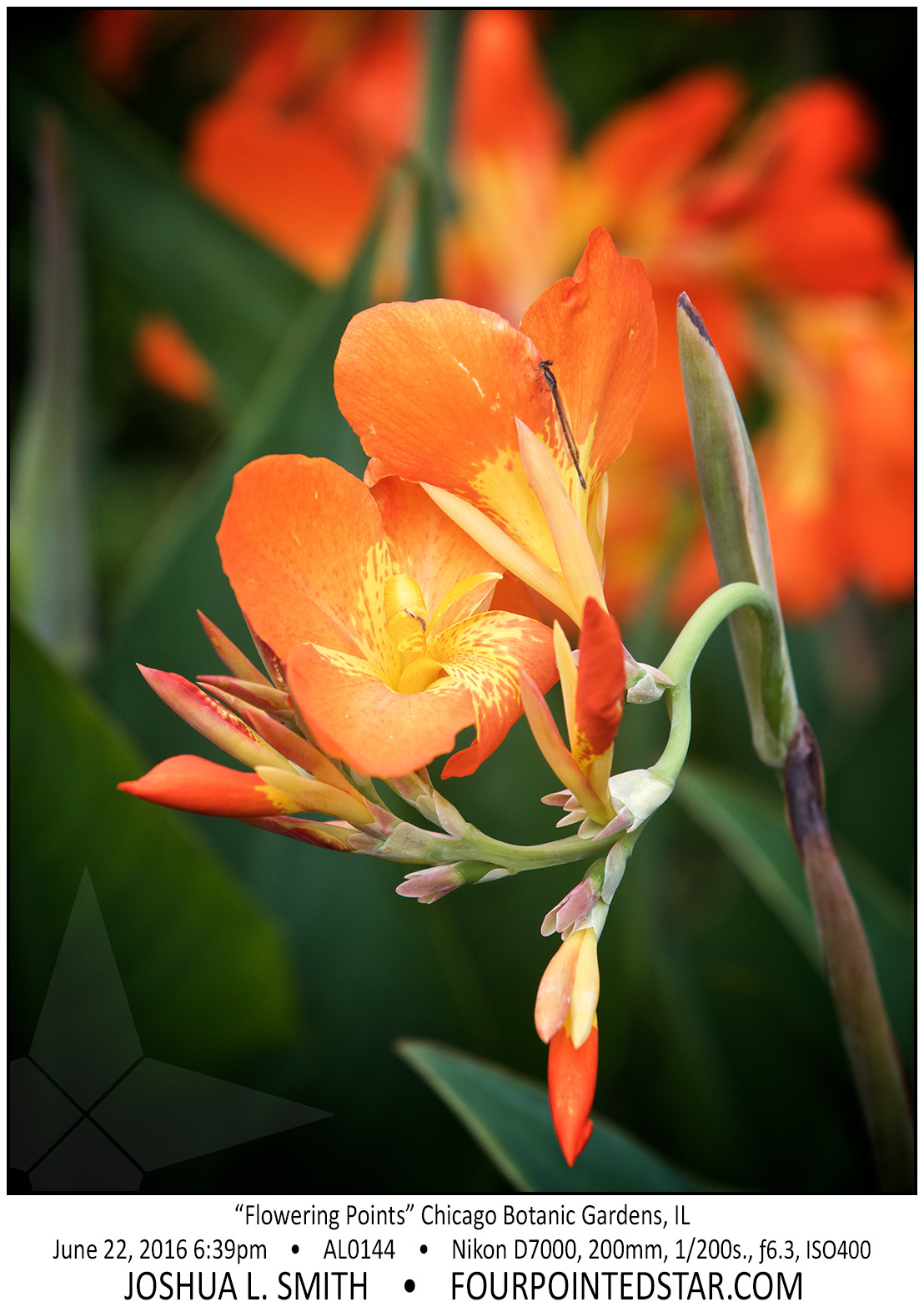 AL0144 160622 183924