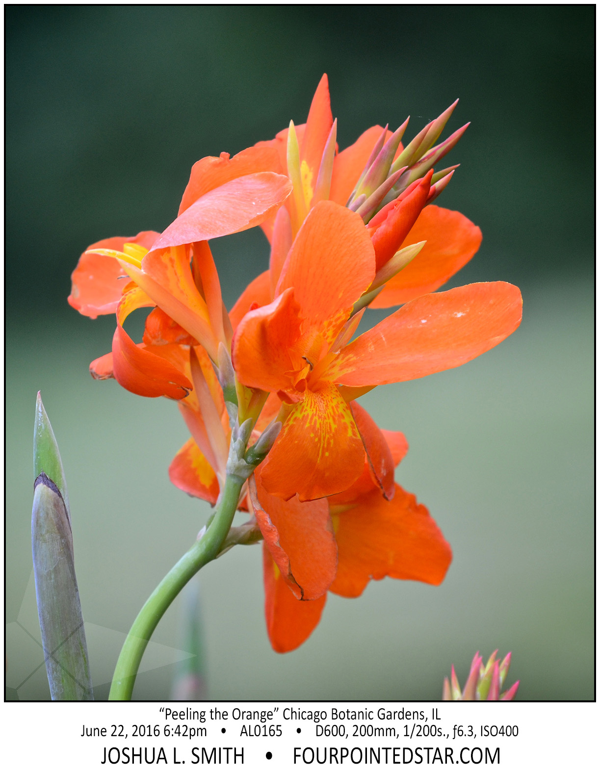 AL0165 160622 184239