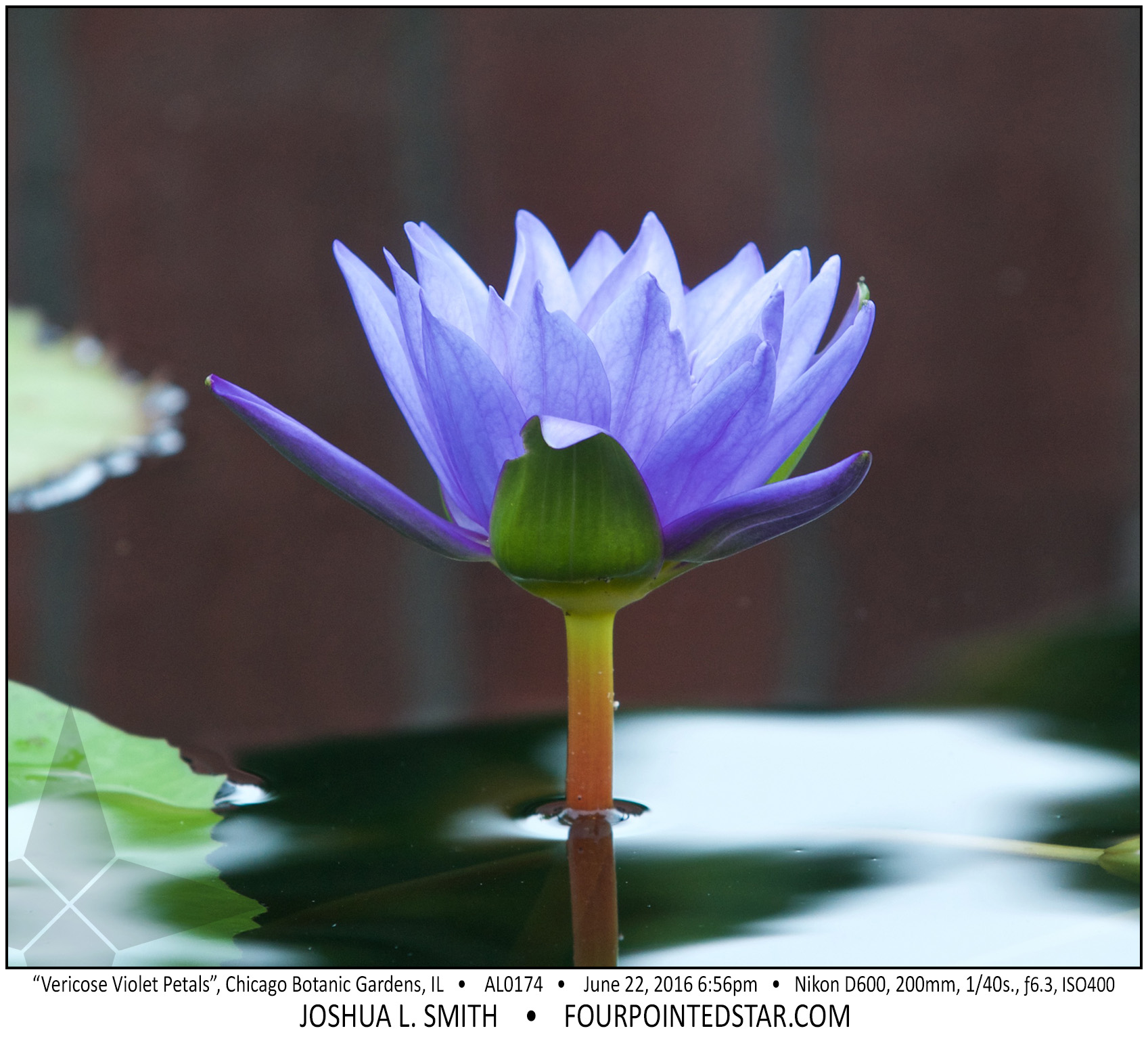 AL0174 160622 185638