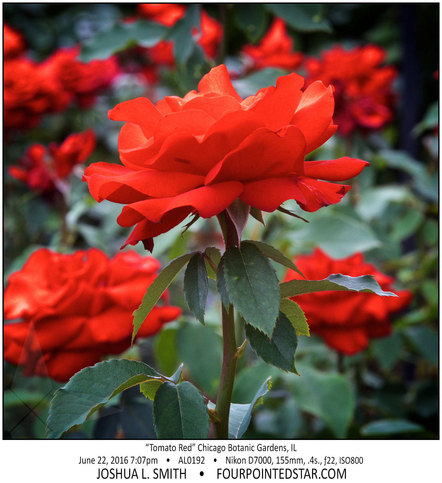 AL0192 160622 190744