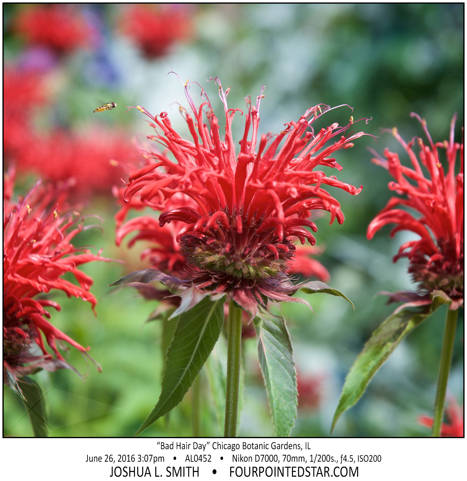 AL0452 160626 150732