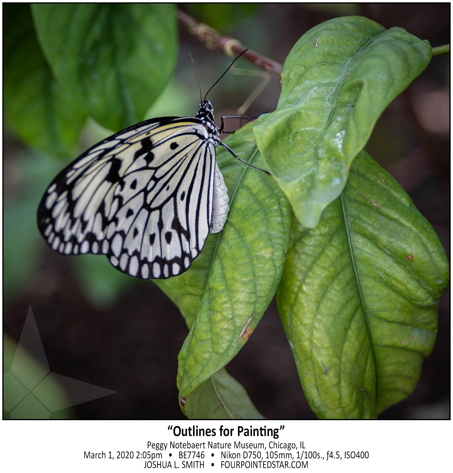 BE7746 200301 140519