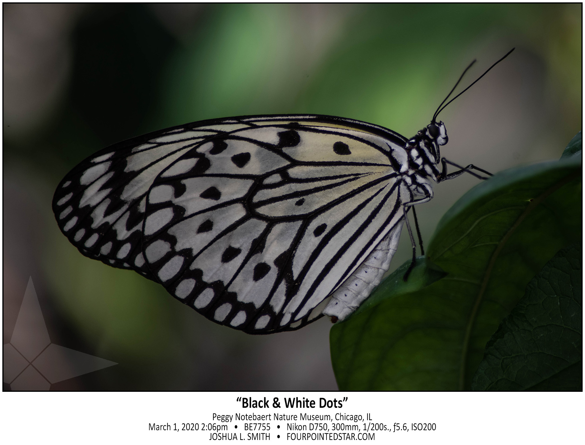 BE7755 200301 140659