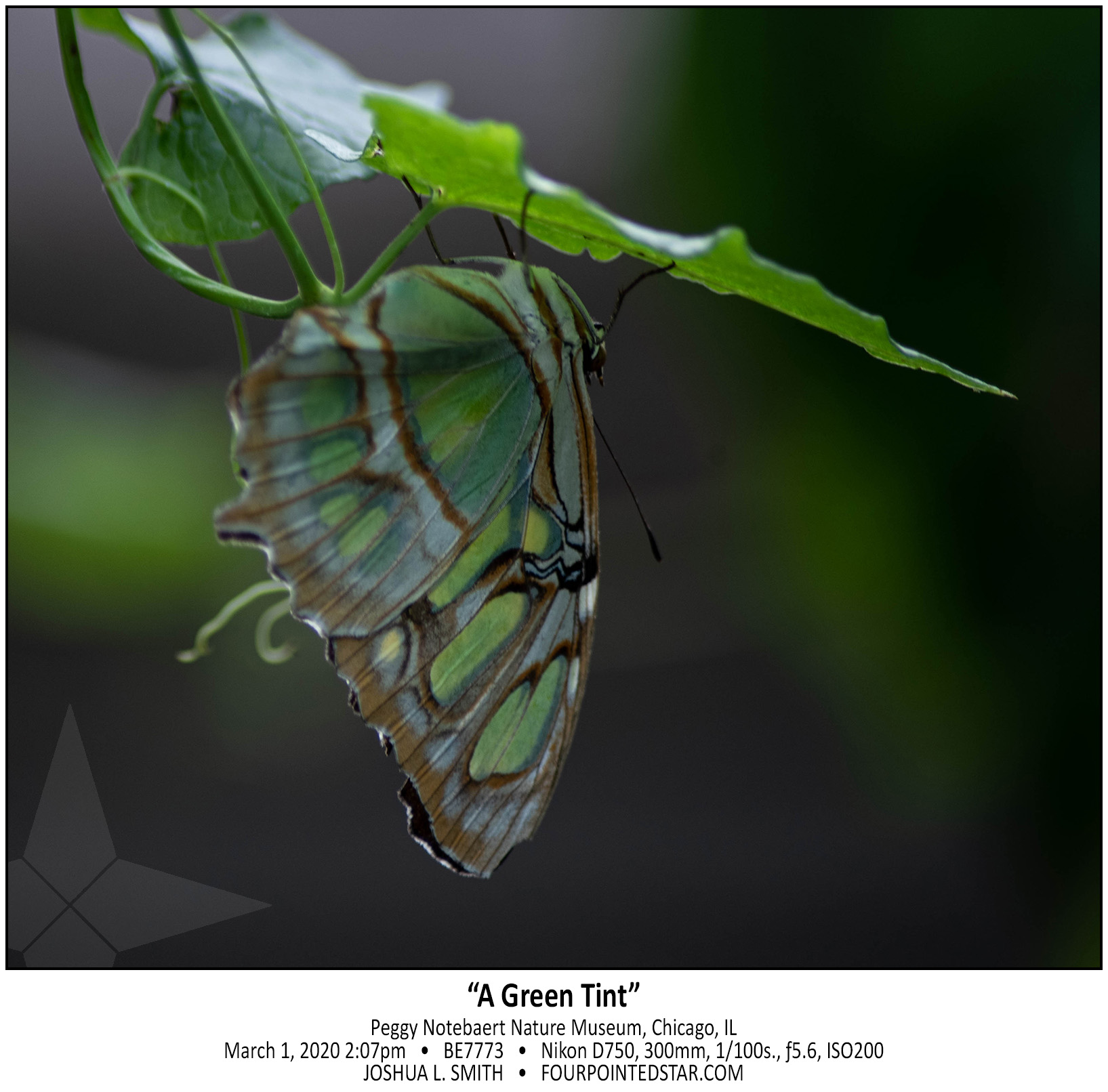 BE7773 200301 140736