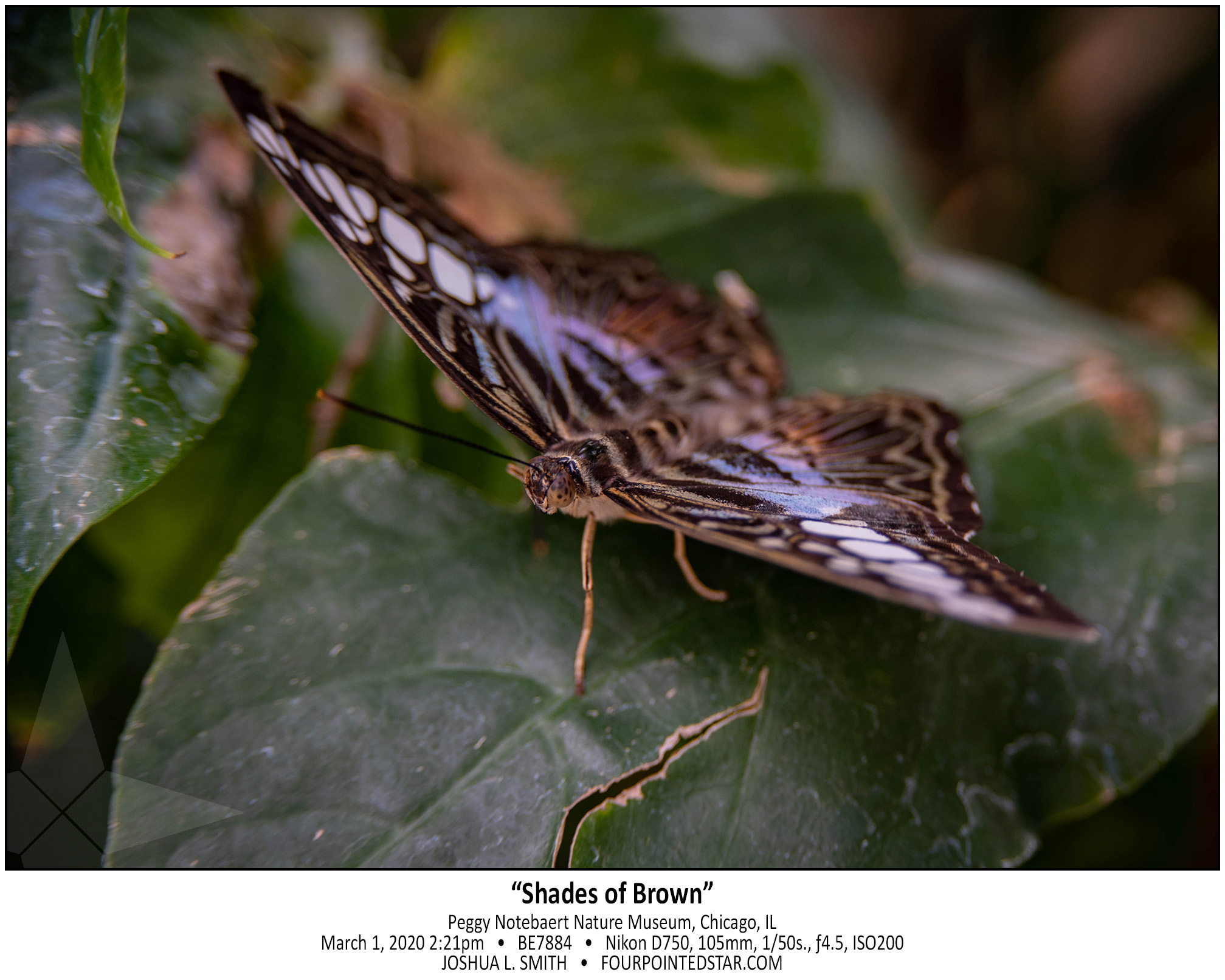 BE7884 200301 142146