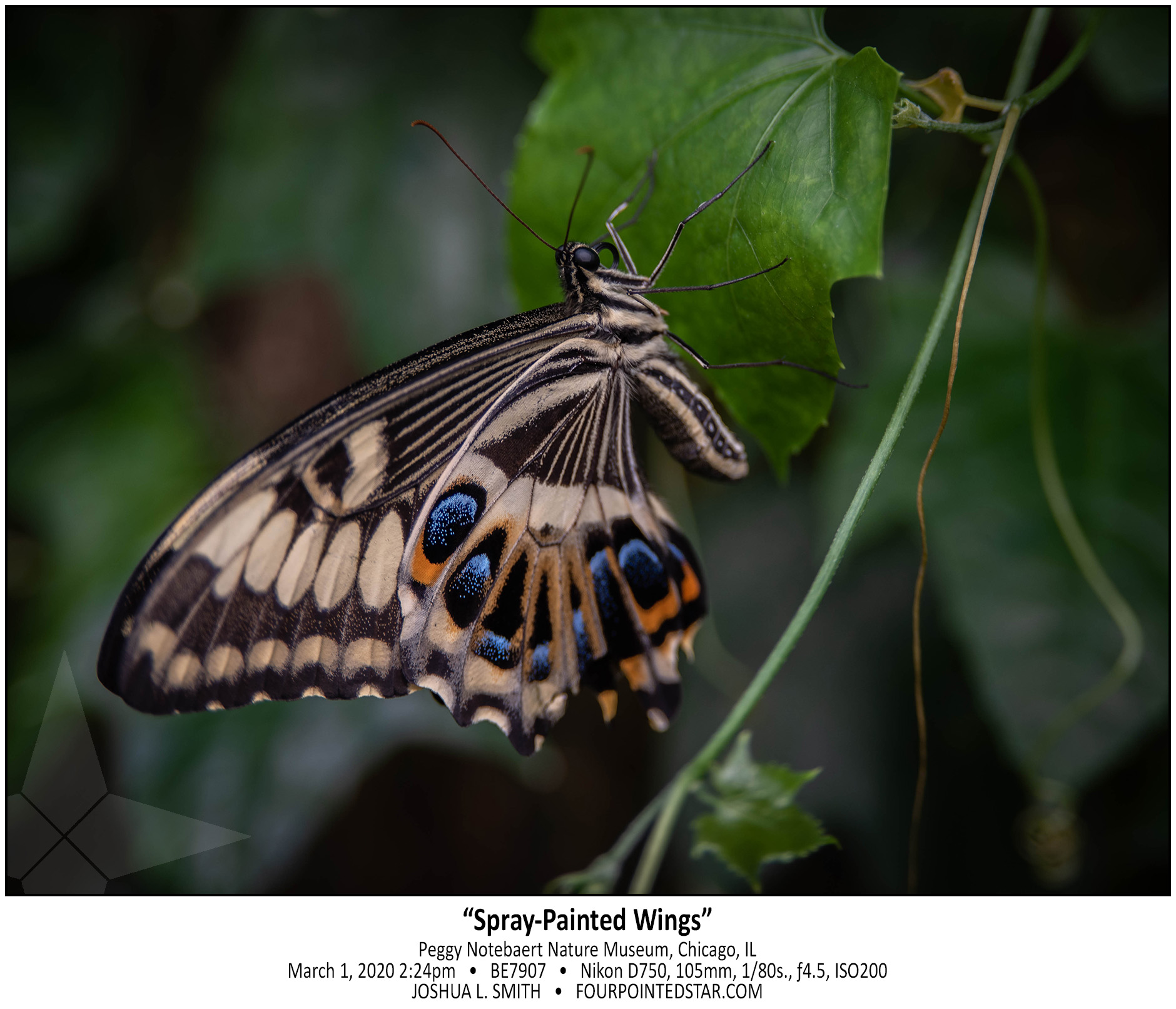 BE7907 200301 142427