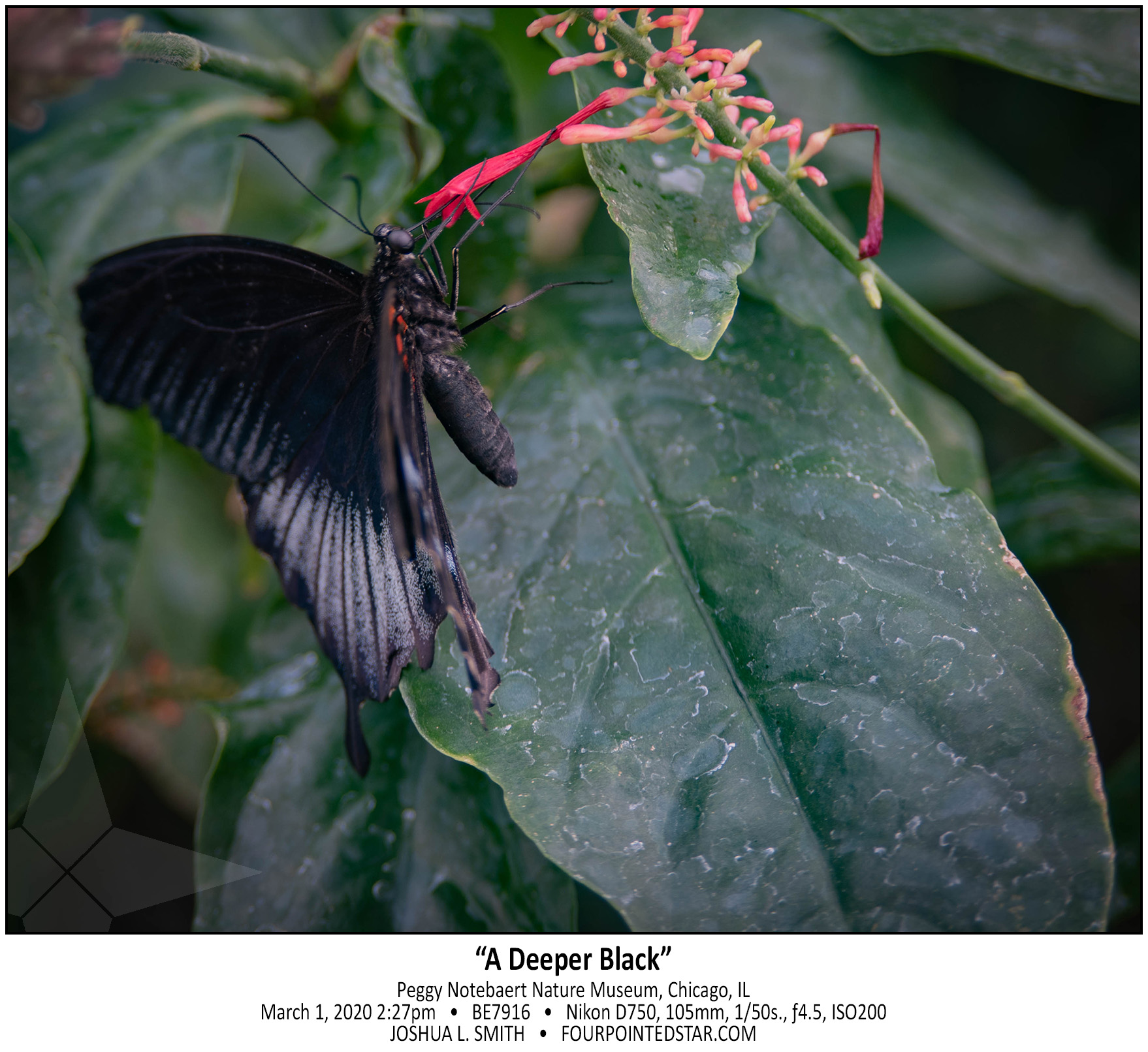 BE7916 200301 142733