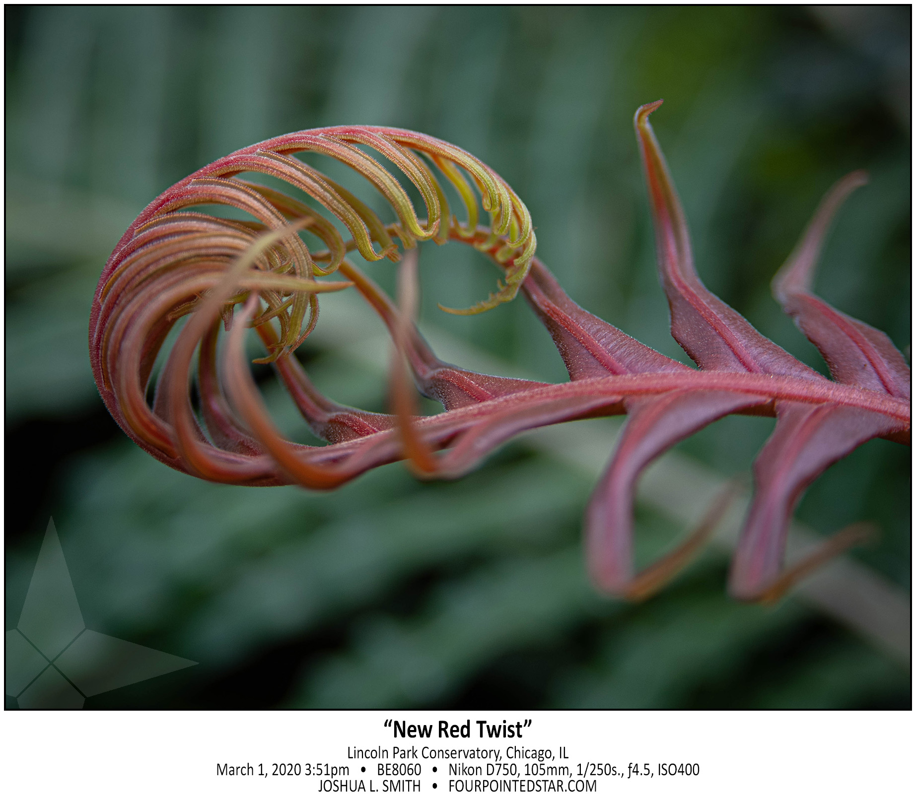 BE8060 200301 155124