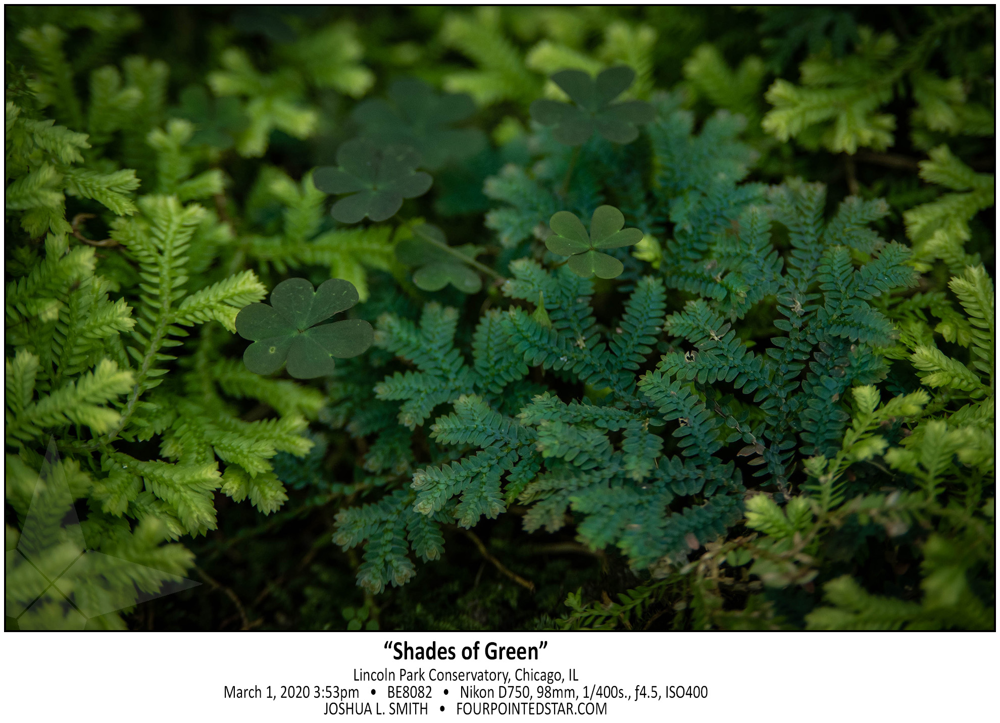 BE8082 200301 155309