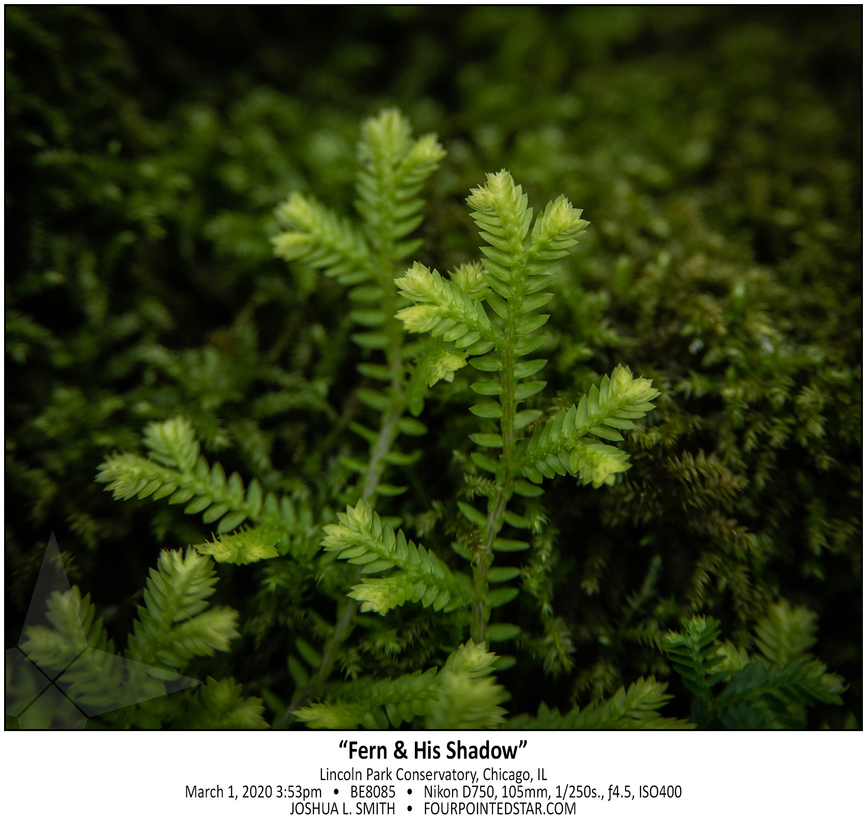 BE8085 200301 155324