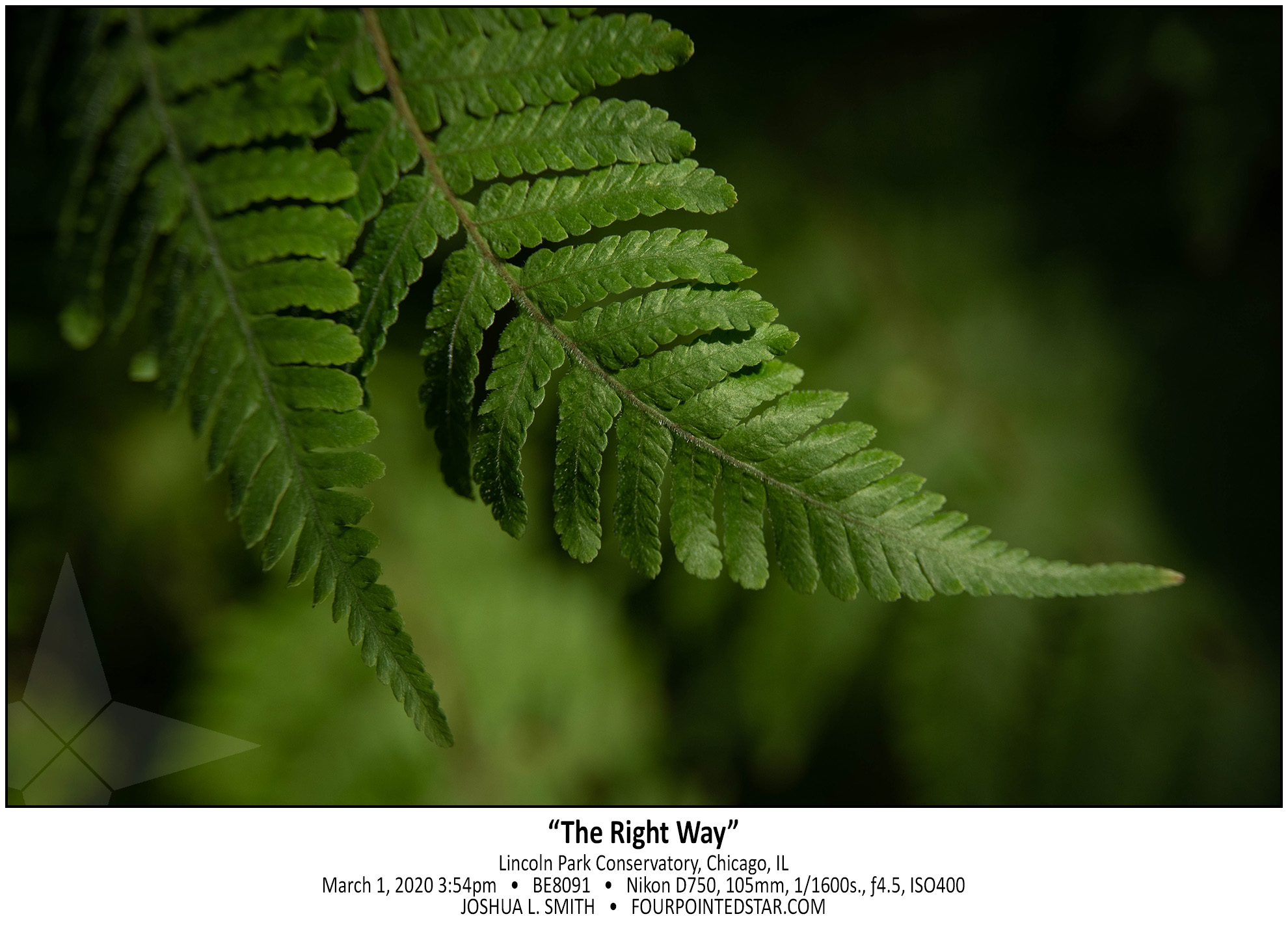 BE8091 200301 155419