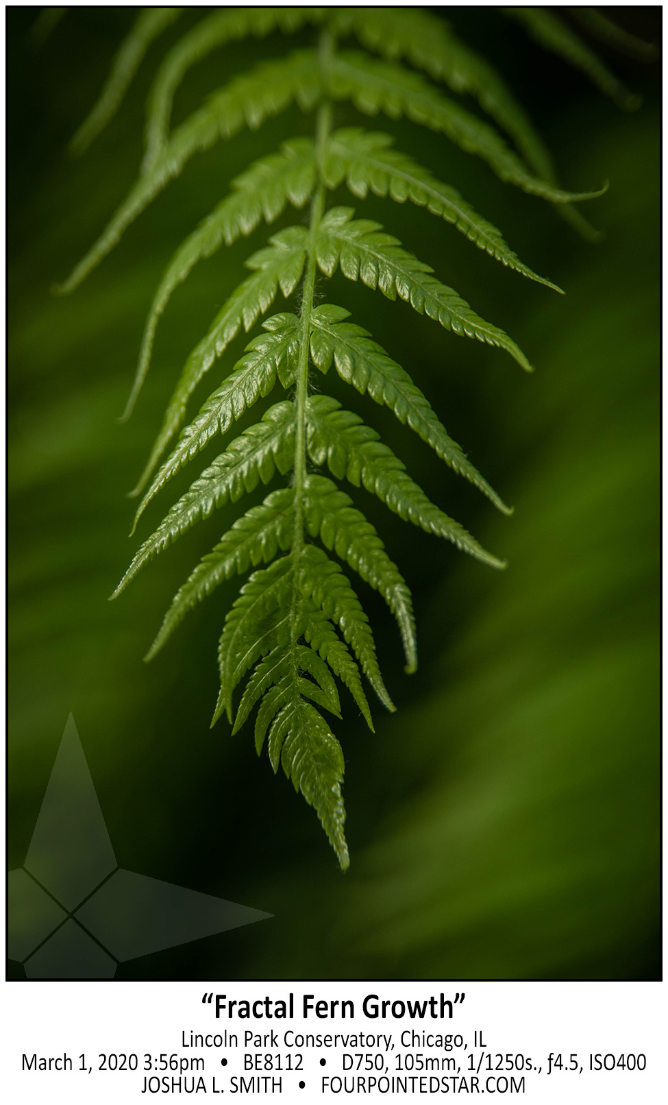 BE8112 200301 155656