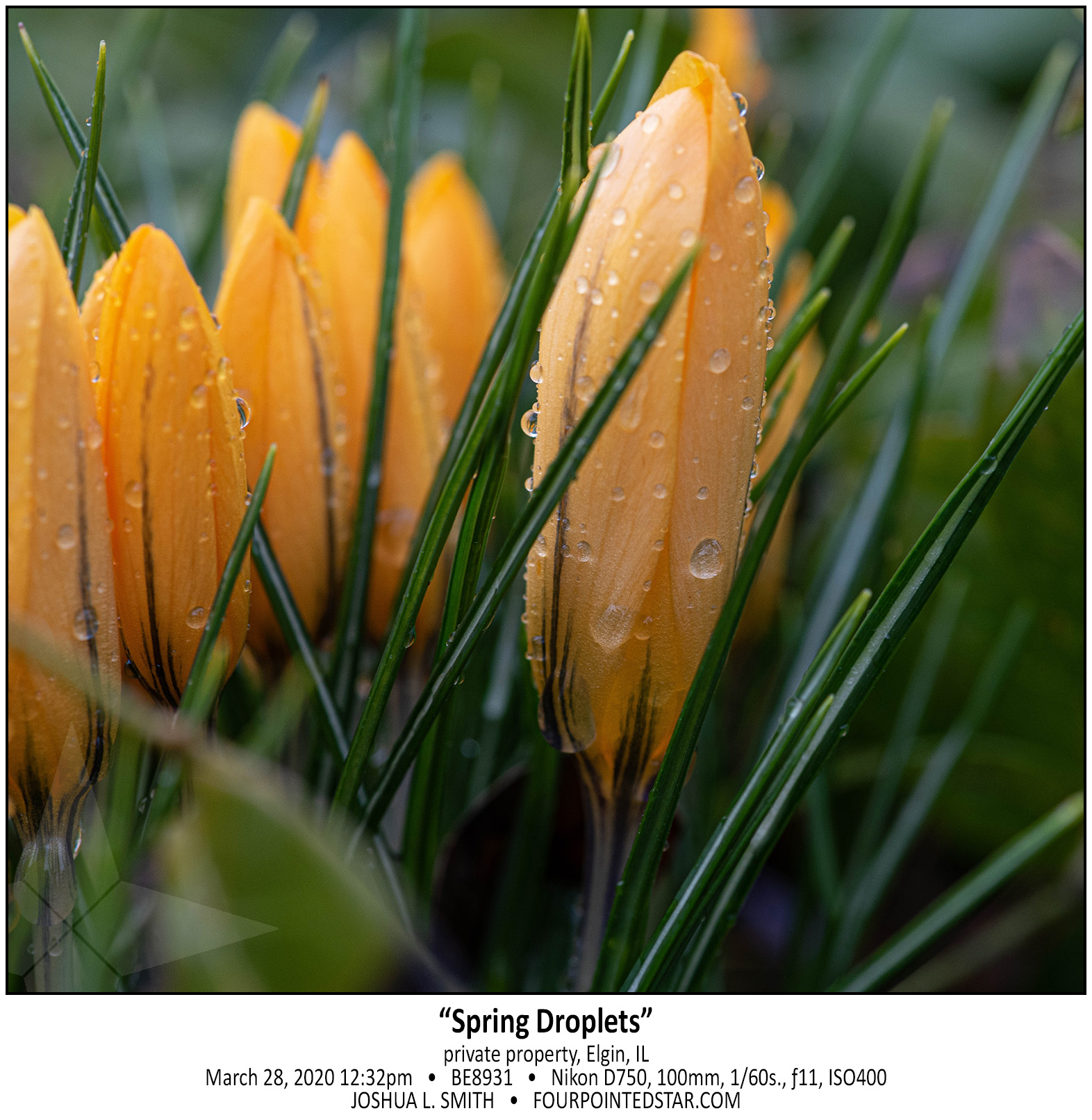 BE8931 200328 123205