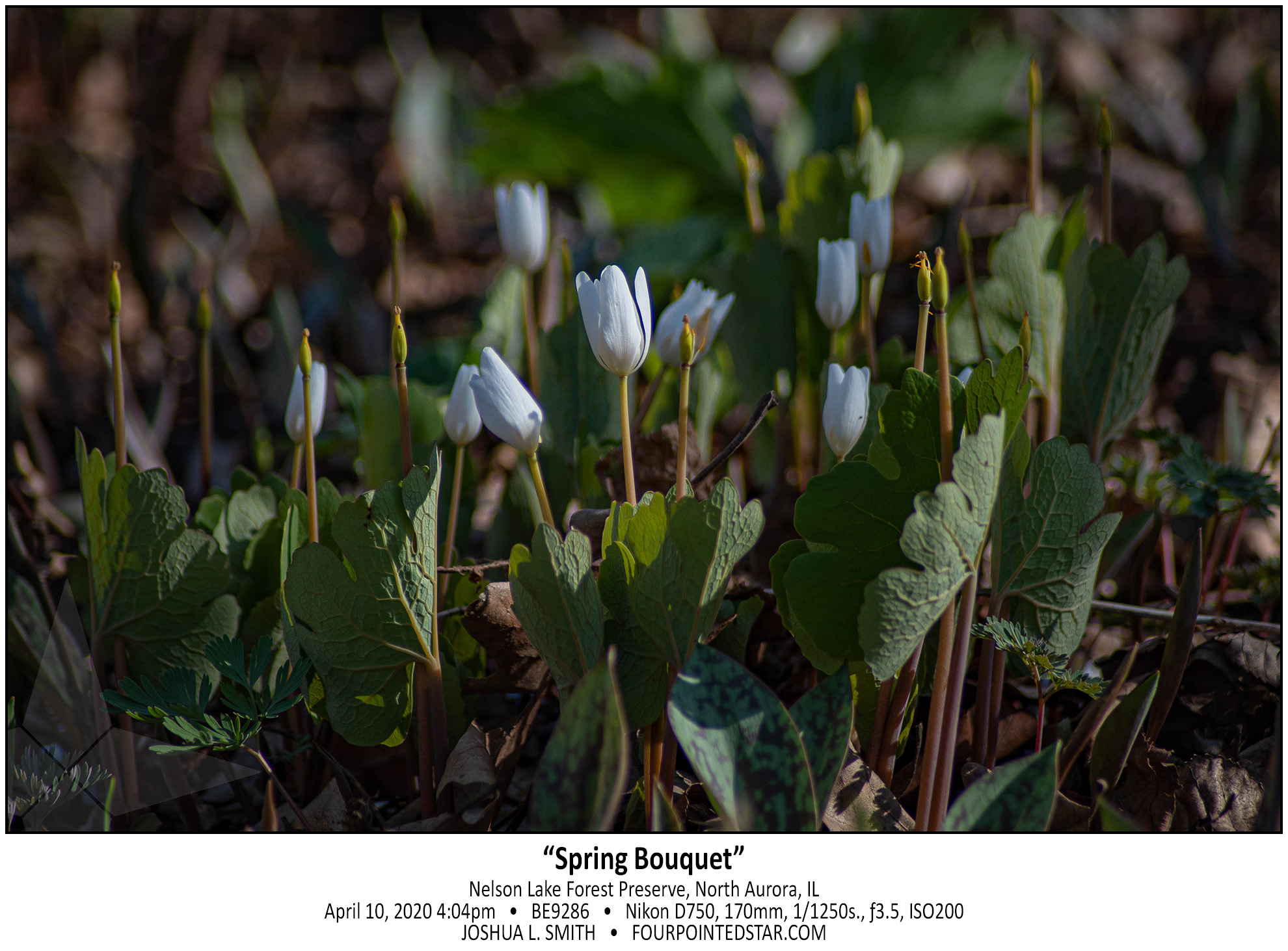 BE9286 200410 160440