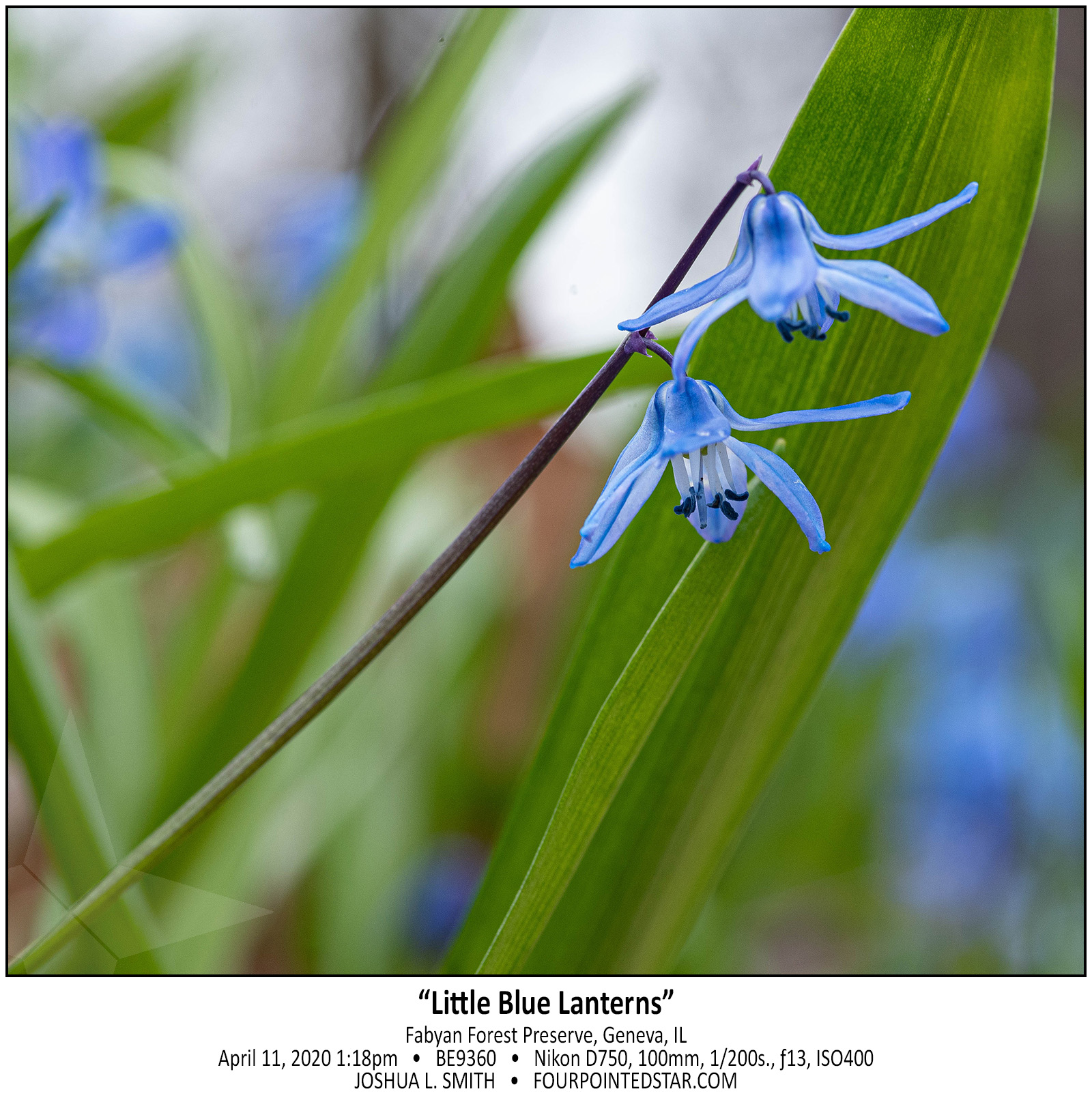 BE9360 200411 131815