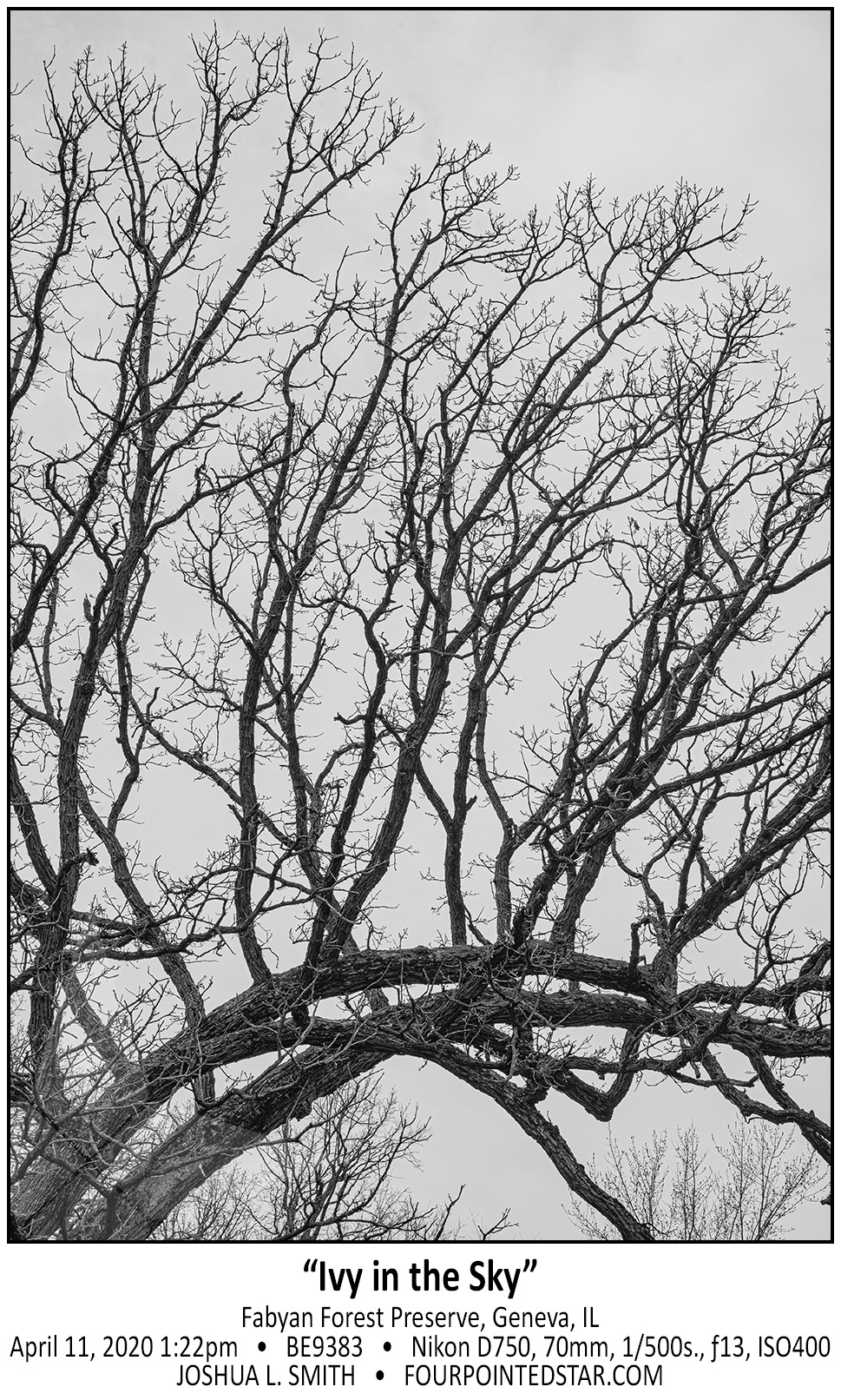 BE9383 200411 132217