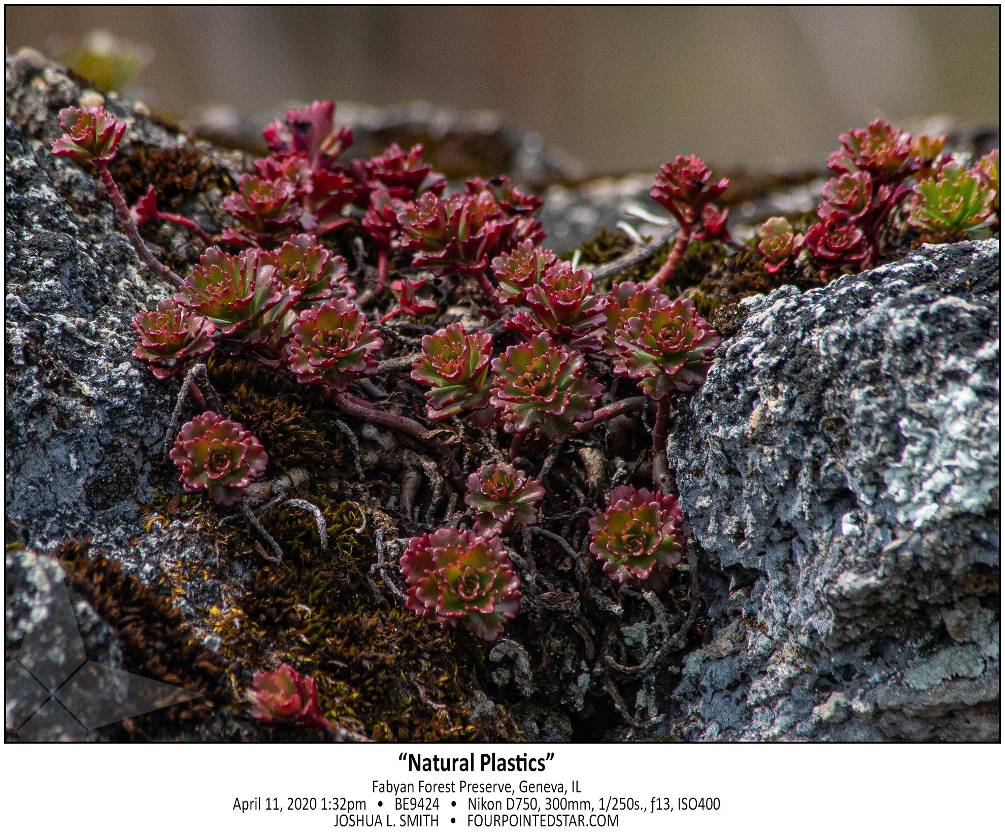 BE9424 200411 133231