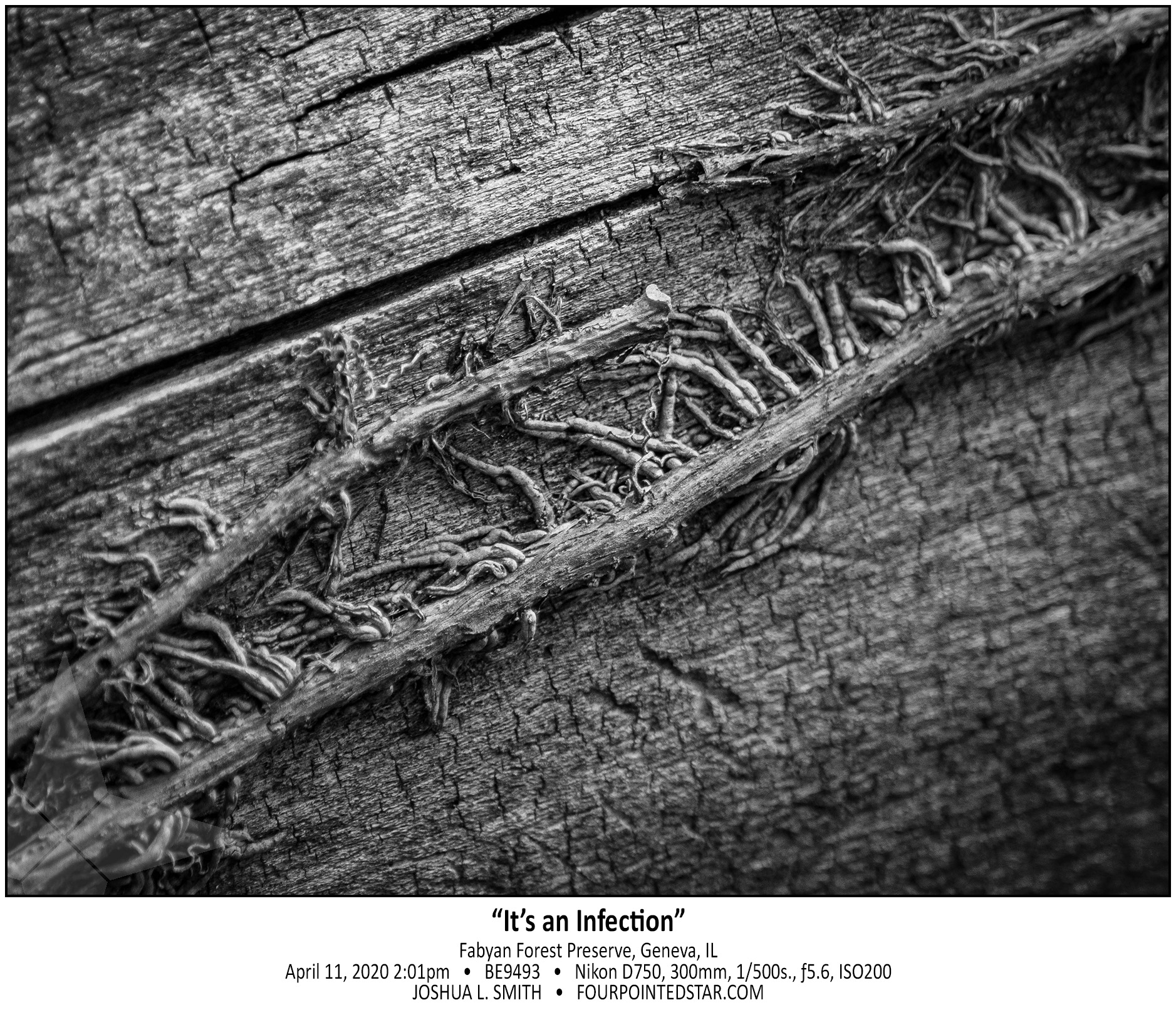 BE9493 200411 140133