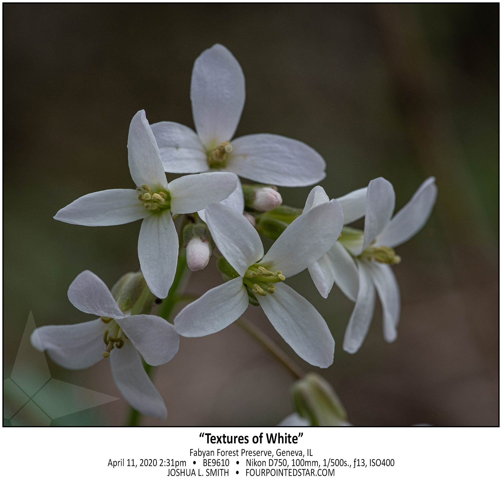 BE9610 200411 143153