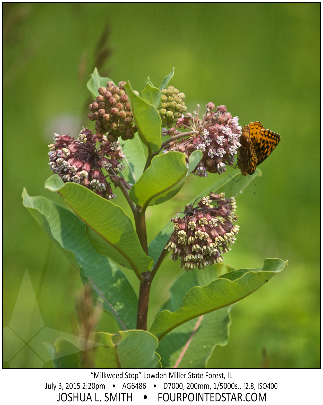 AG6486 150703 142026