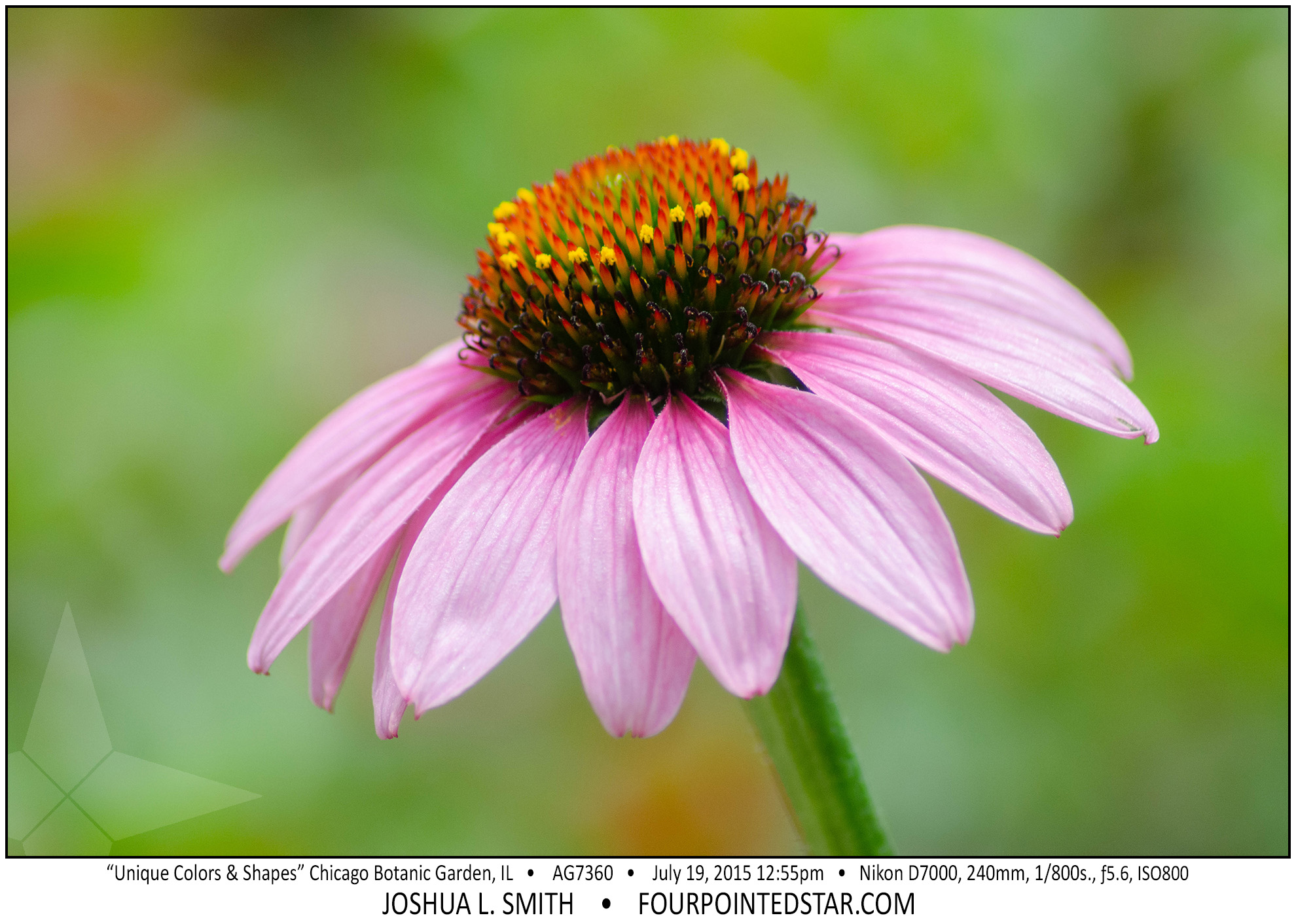 AG7360 150719 125547