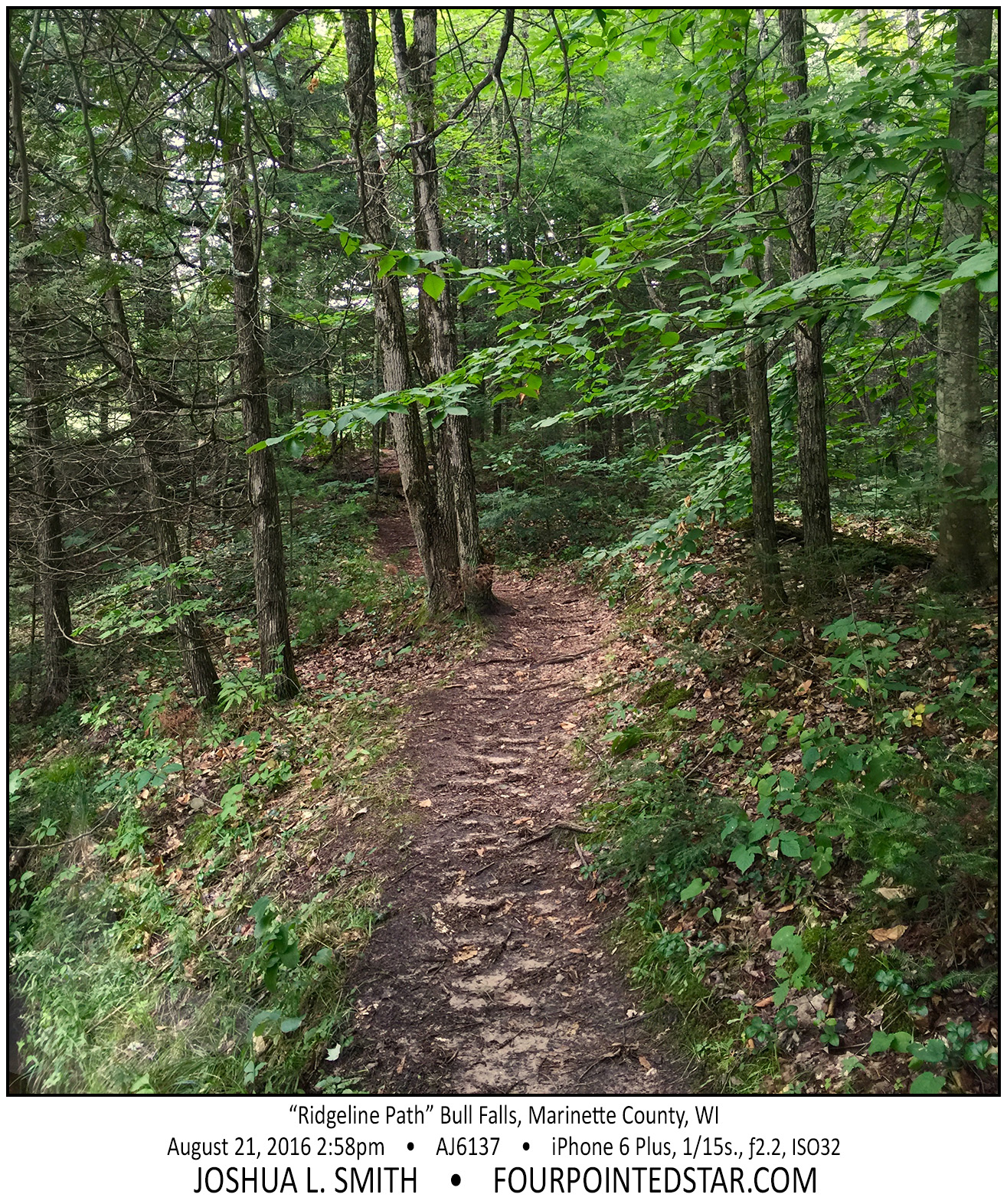 AJ6137 160821 145803