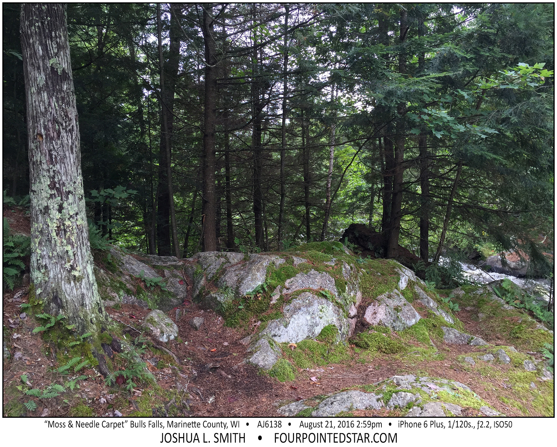 AJ6138 160821 145956